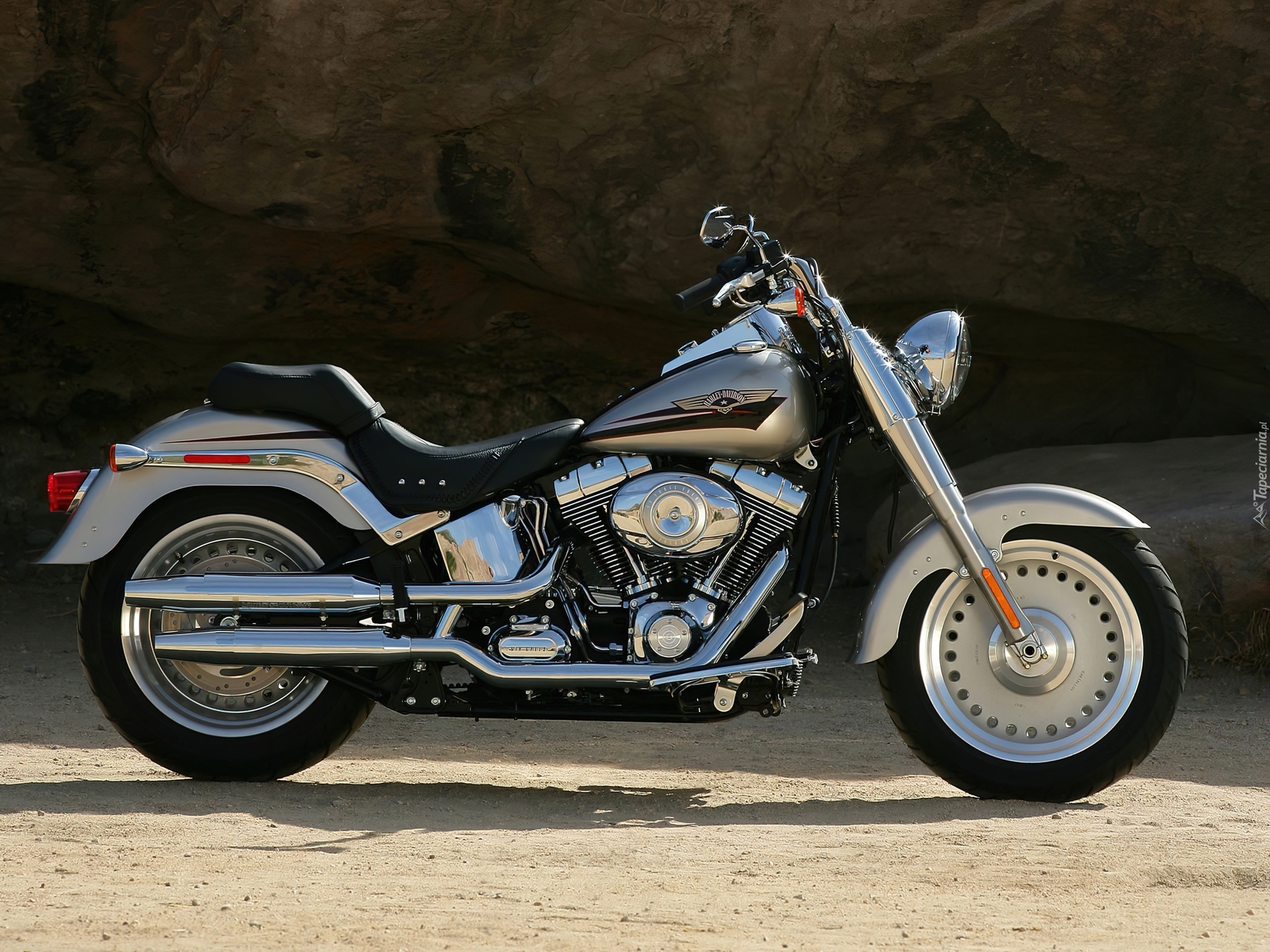 Harley-Davidson FLSTF Fat Boy