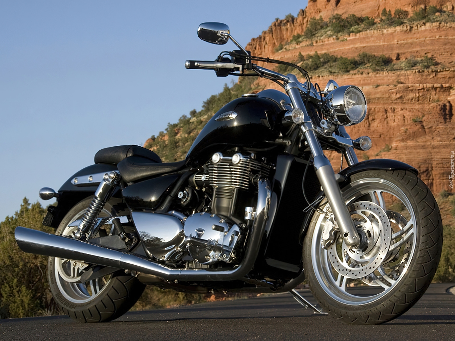 Triumph Thunderbird