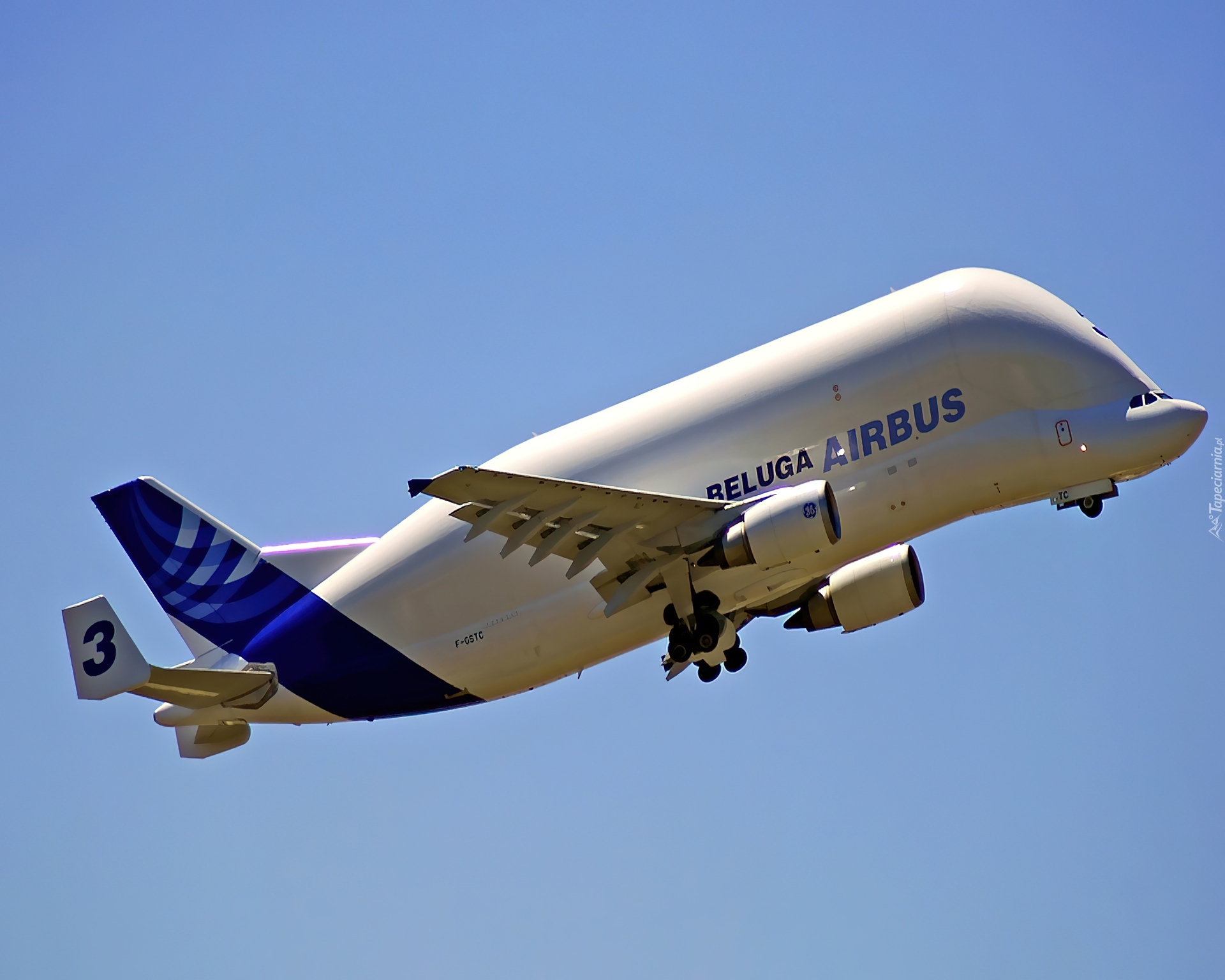 Airbus A300 Beluga, Transporter