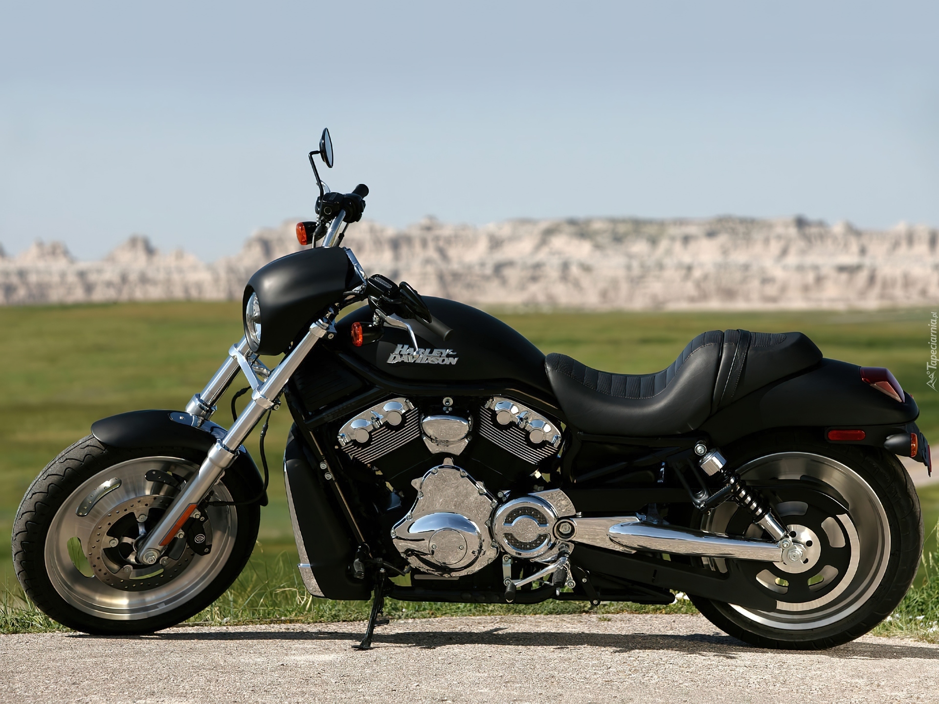 Harley-Davidson Night Rod, Siedzenie