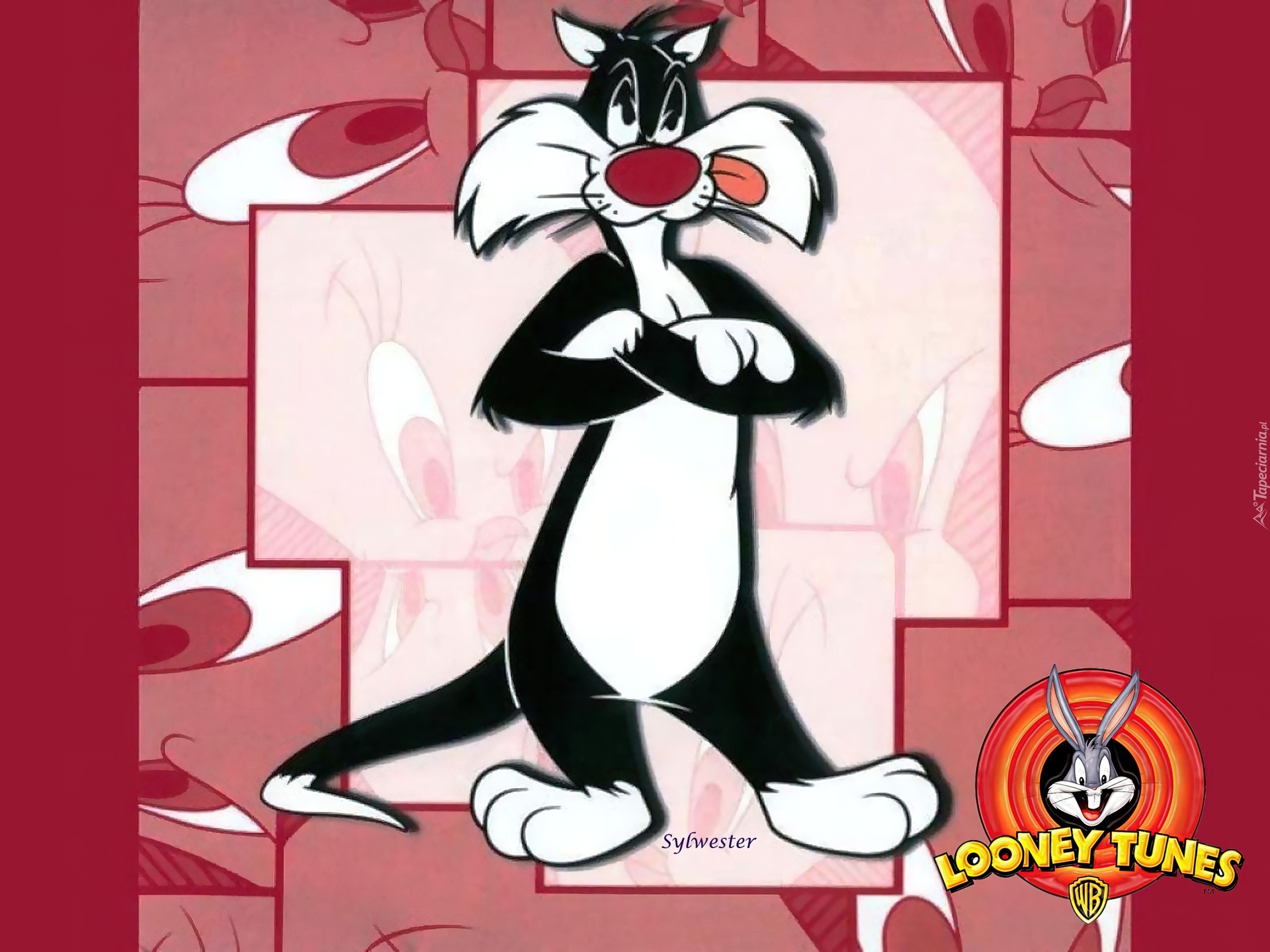 Looney Tunes, Kot, Sylwester