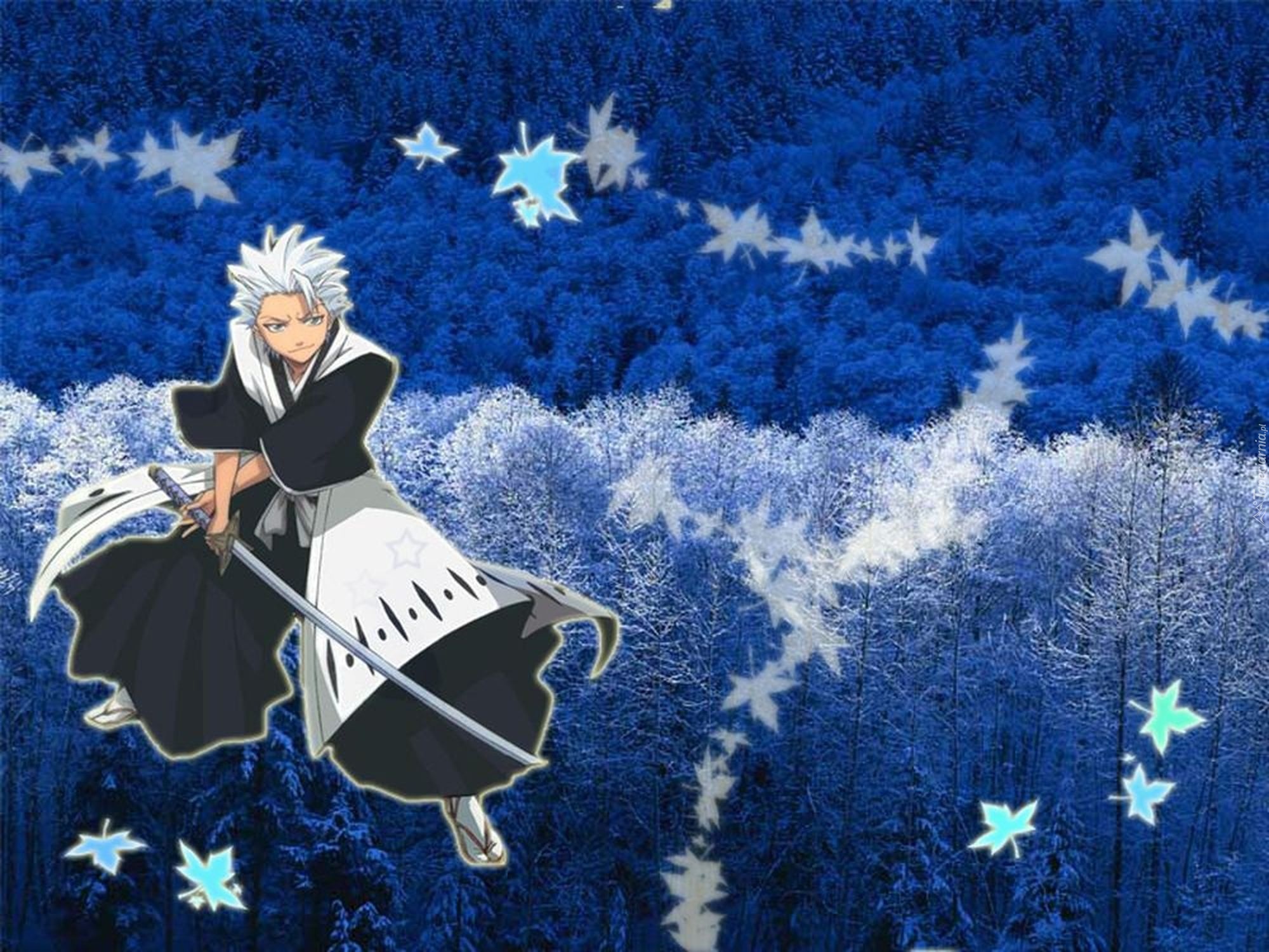 Hitsugaya Toshoro