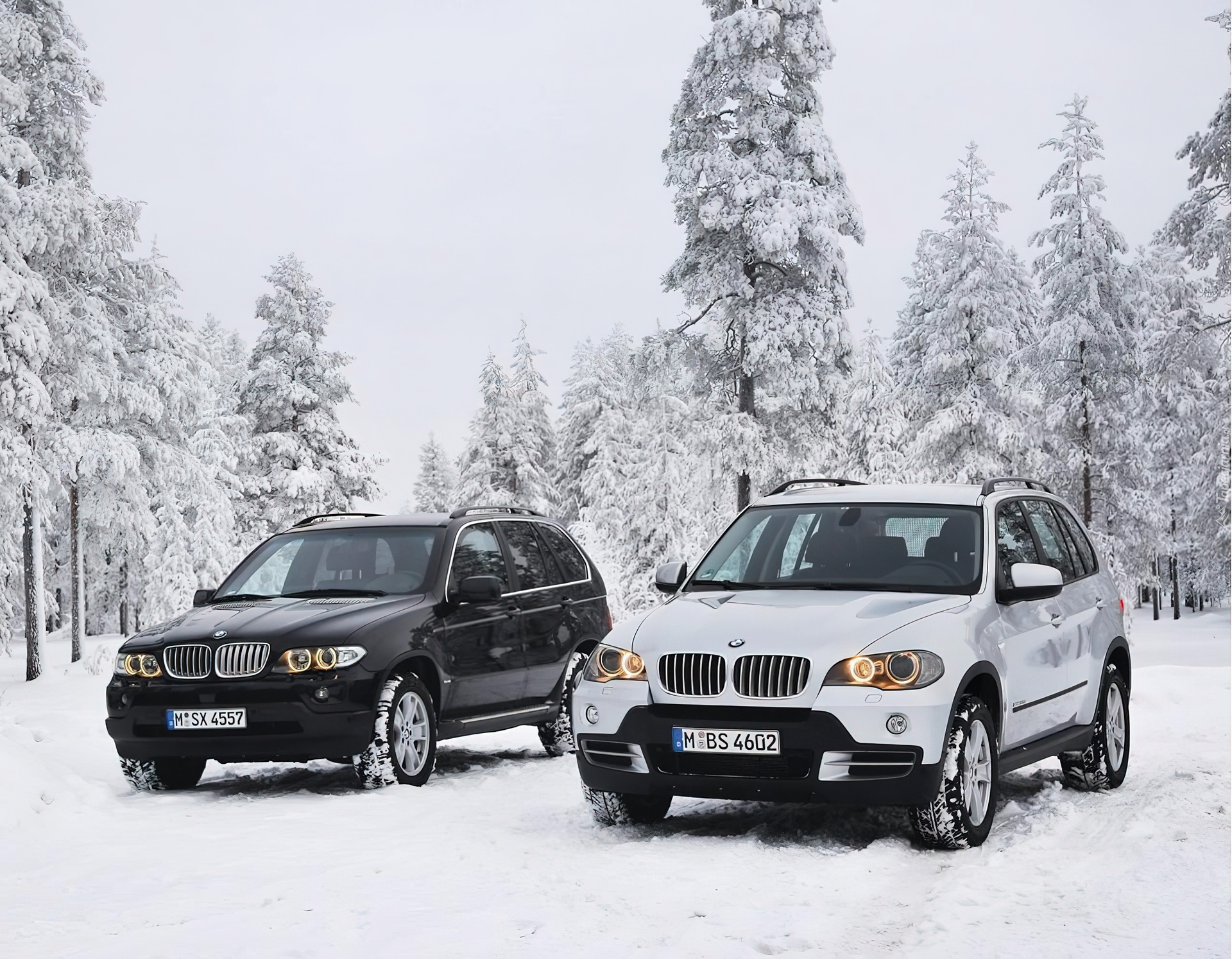 BMW E53 vs E70