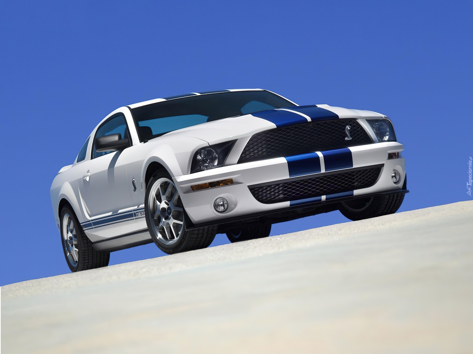 Pakiet, Shelby, Ford Mustang, GT500, Tapety, Tapeta, Zdjęcia, Tapety na pul...