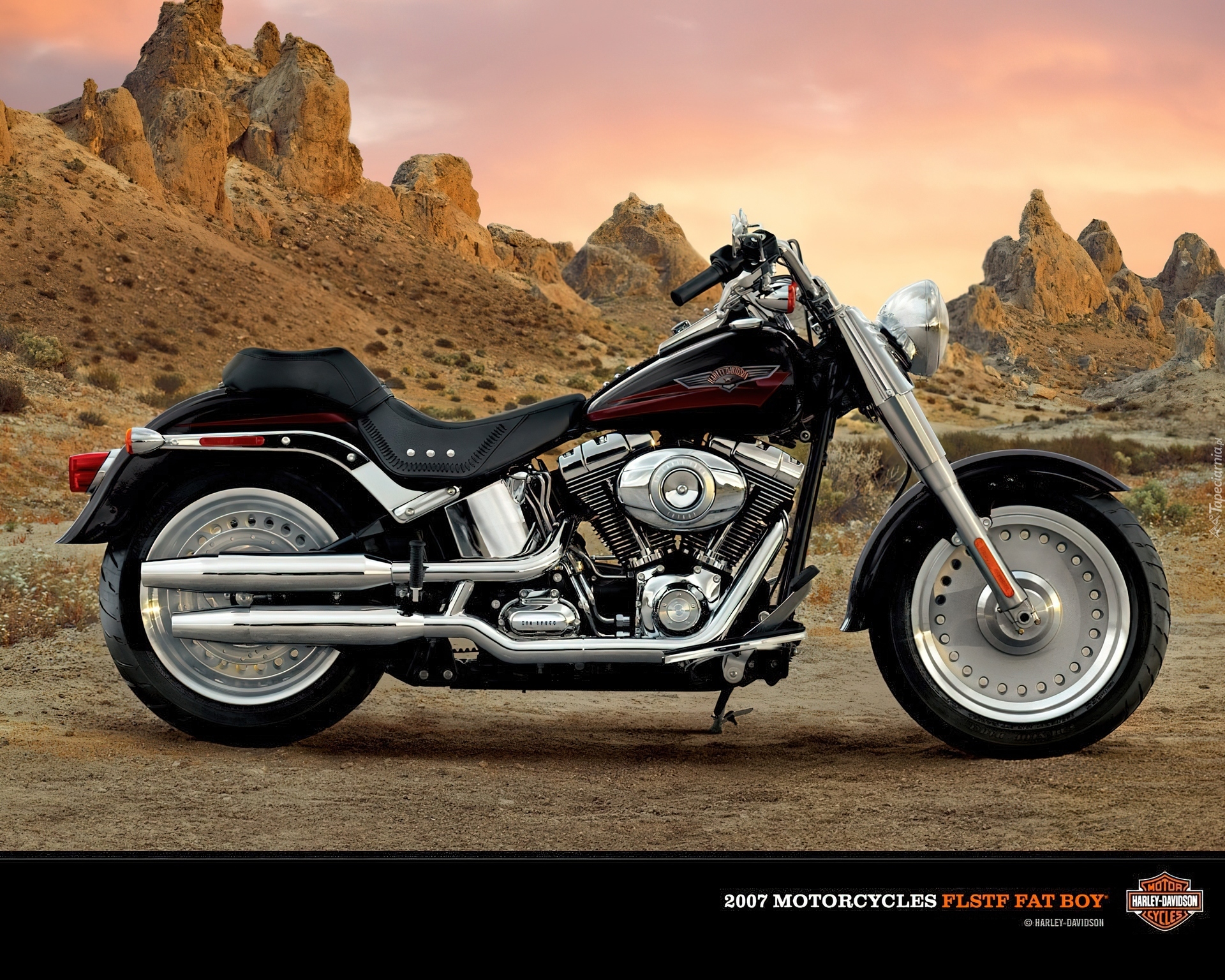 Harley Davidson Fat Boy, Reklama