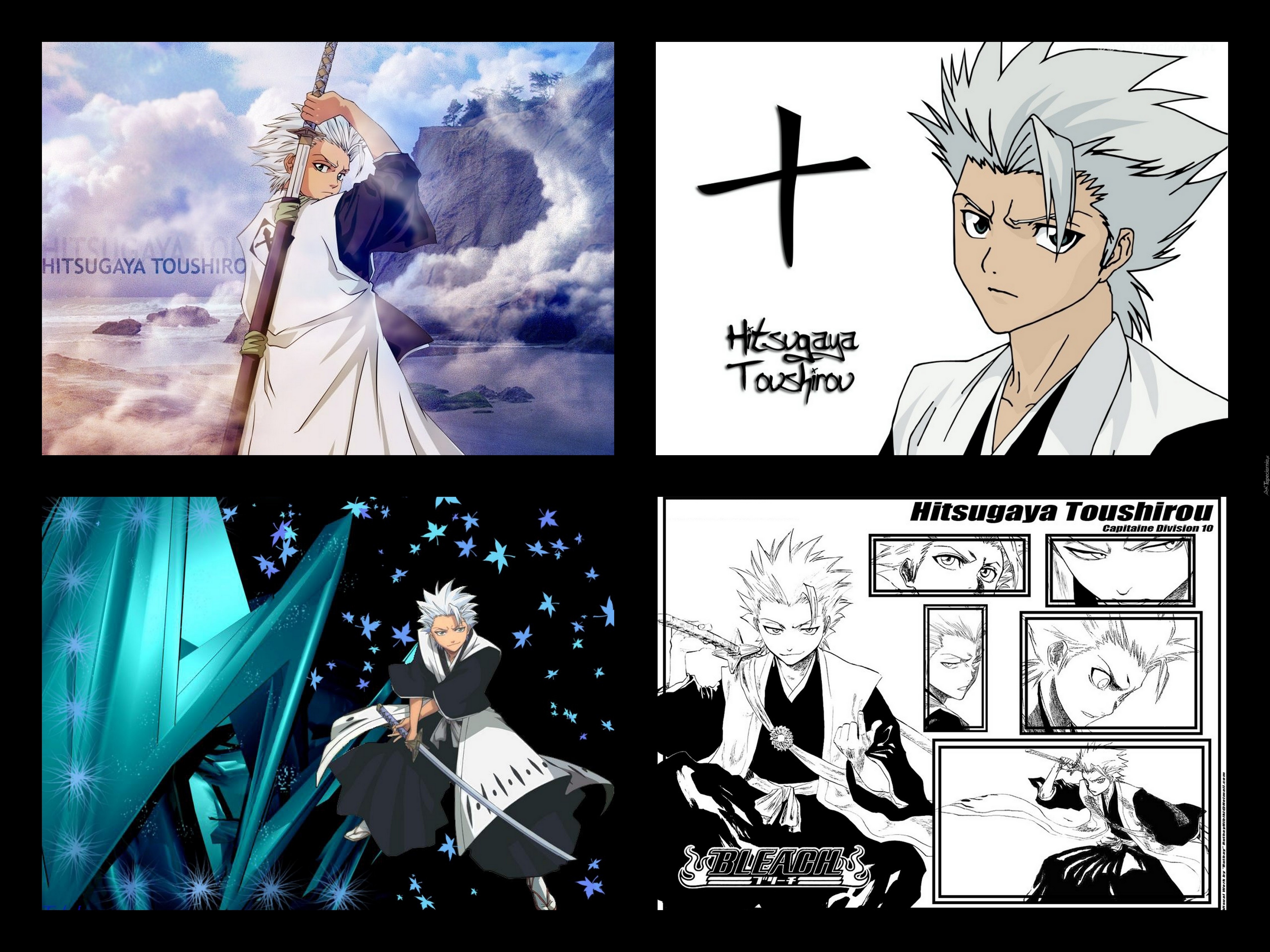 Toshiro Hitsugaya, Kolaż