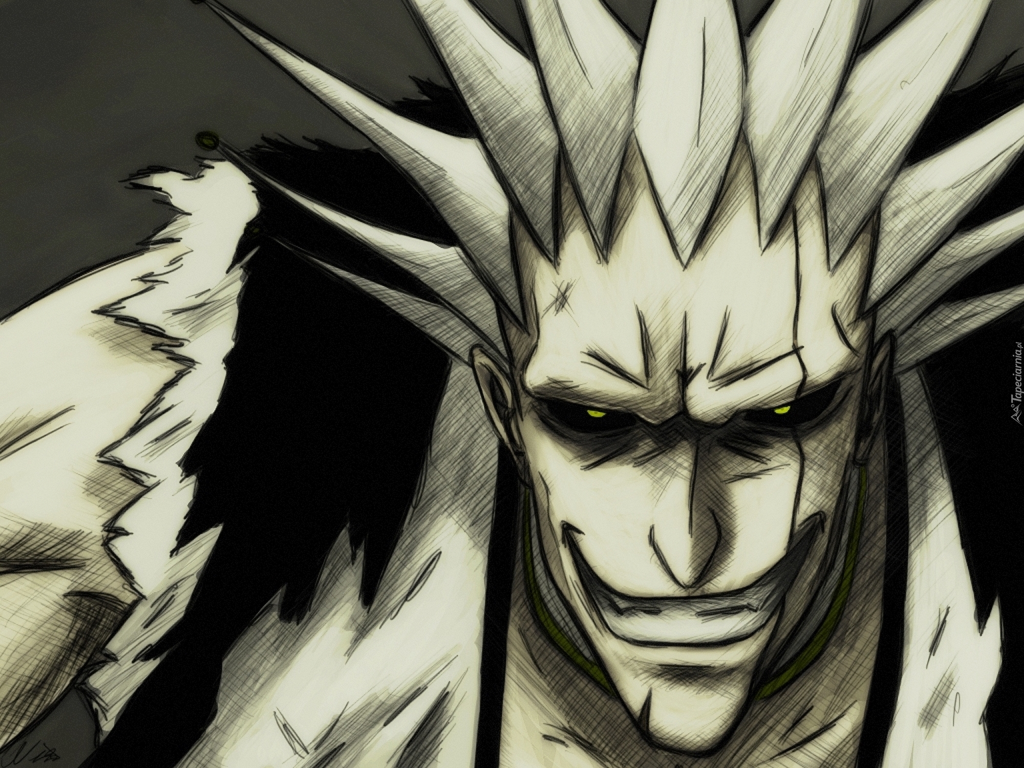 Zaraki Kenpachi, Bleach