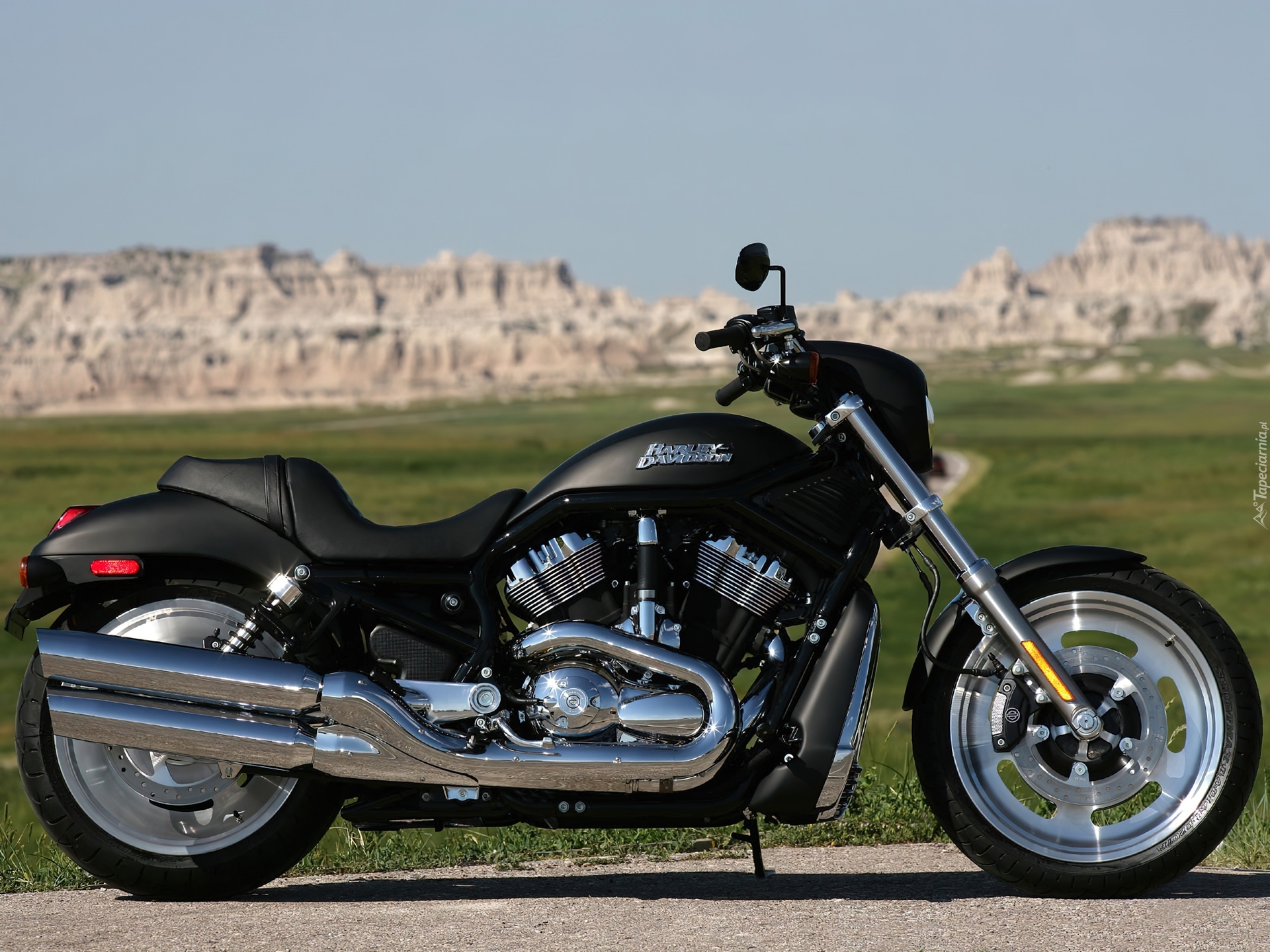 Harley-Davidson Night Rod, Wersja, Chrom