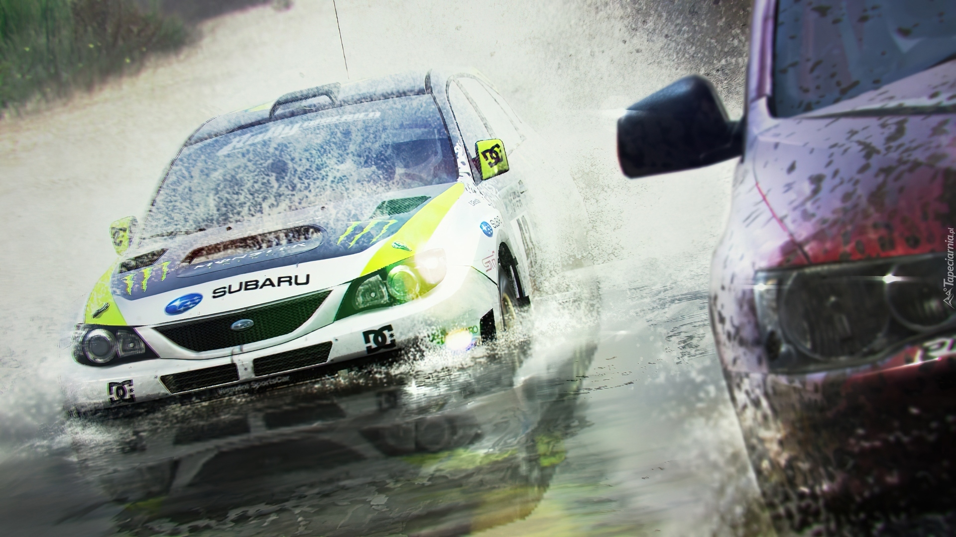 Colin McRae: DiRT 2, Woda