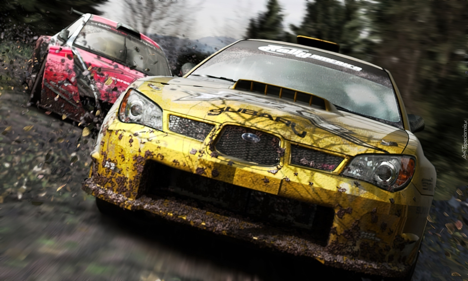 Screen, Colin McRae: DiRT 2