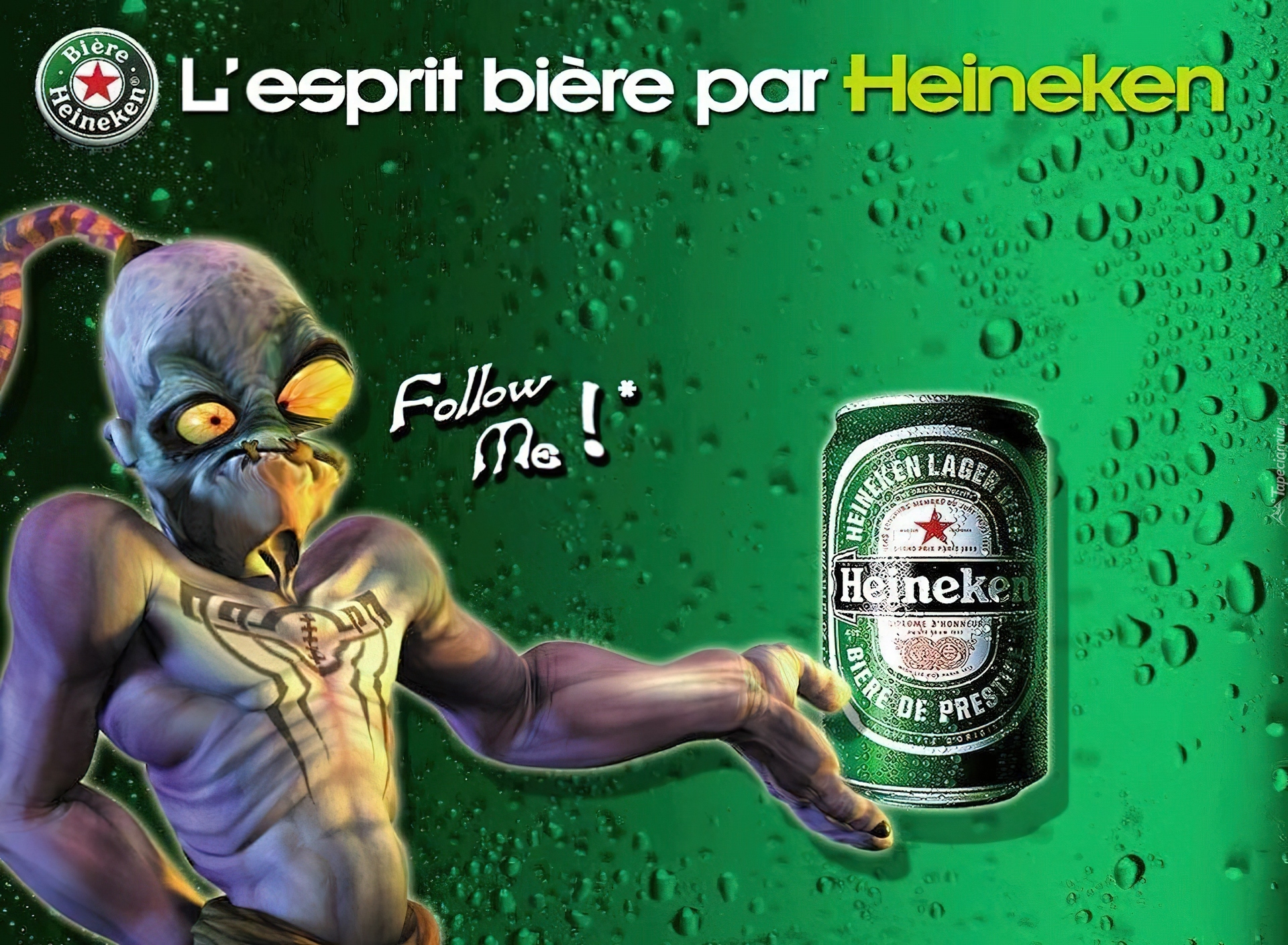 Piwo, Heineken, Puszka