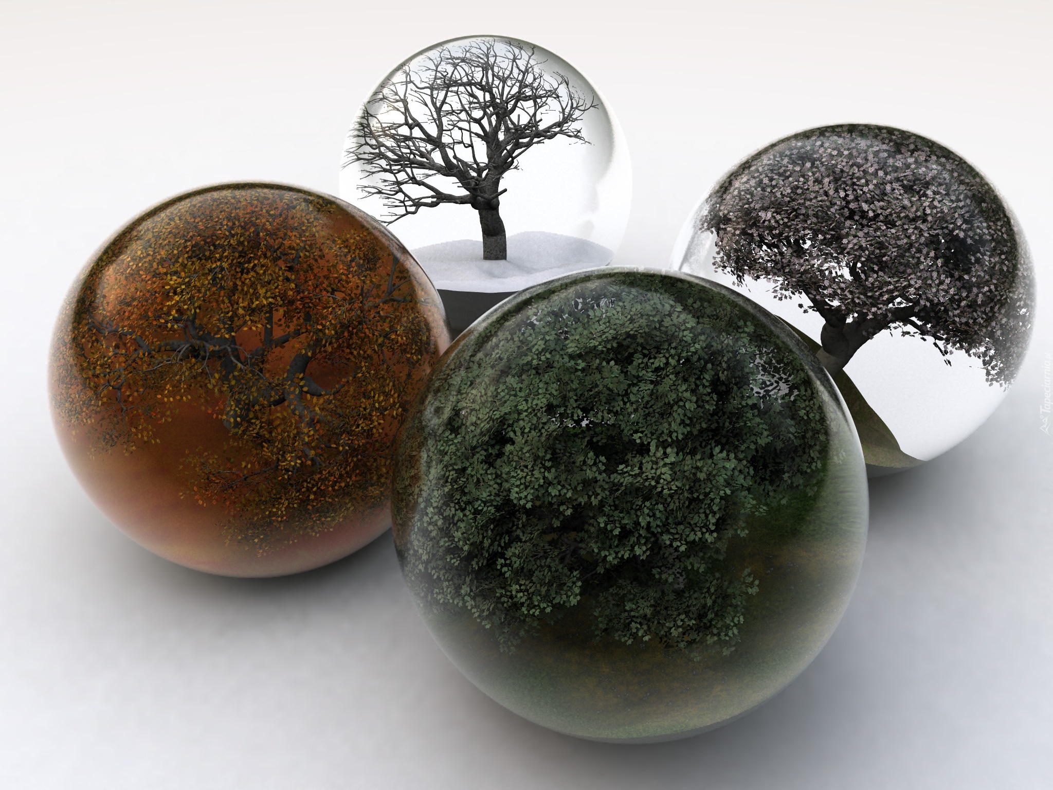 Drzewa, Kule, Grafika 3D