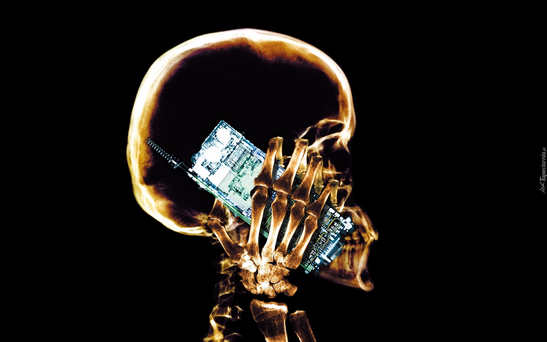 Czaszka, Telefon