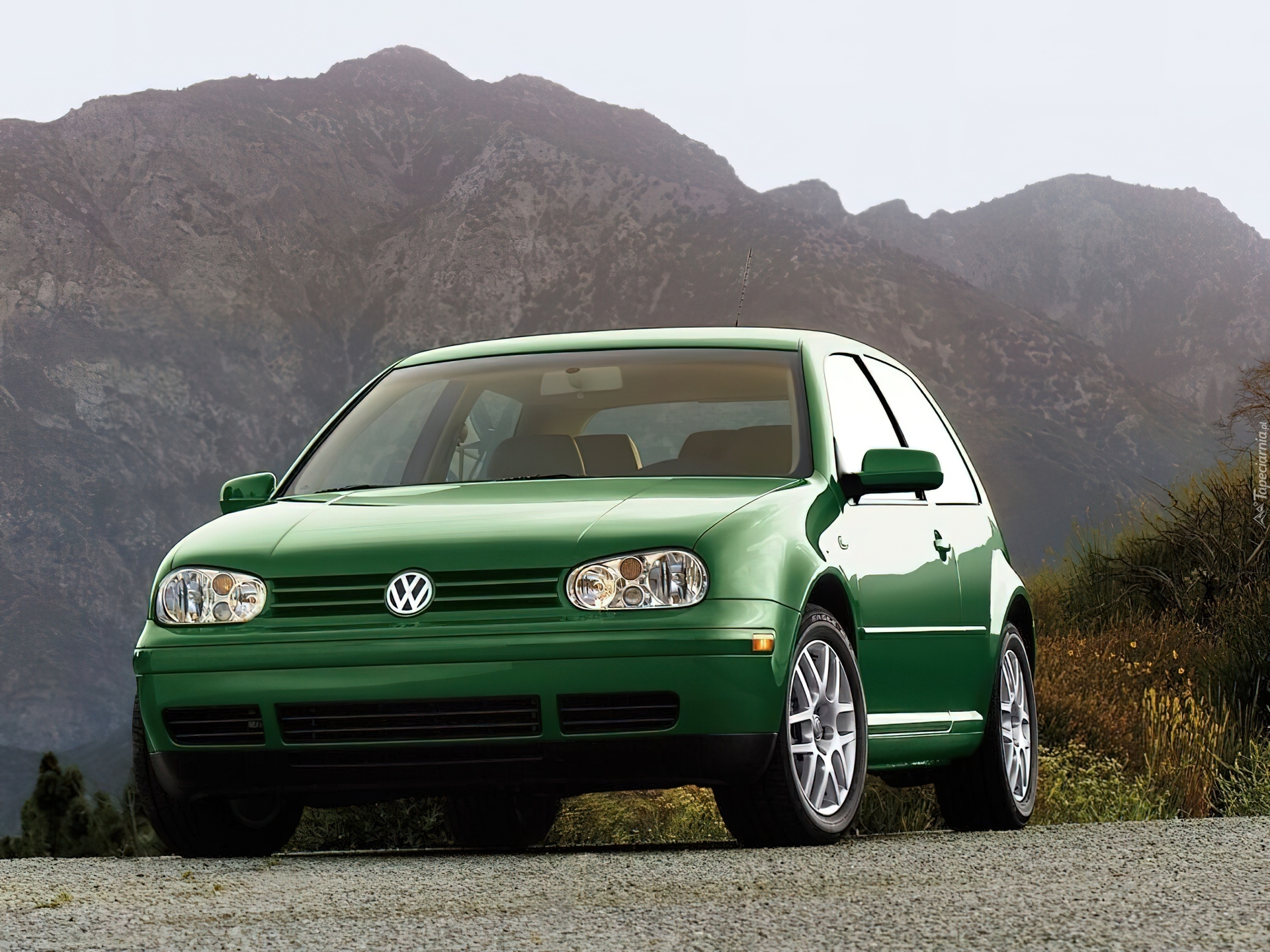 Volkswagen Golf 4, Zielony