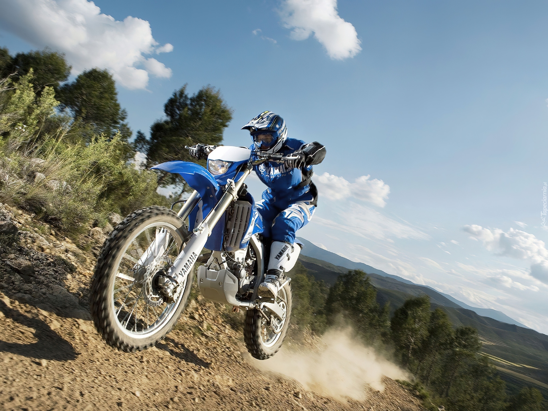 Yamaha WR 250F, Skok, Teren