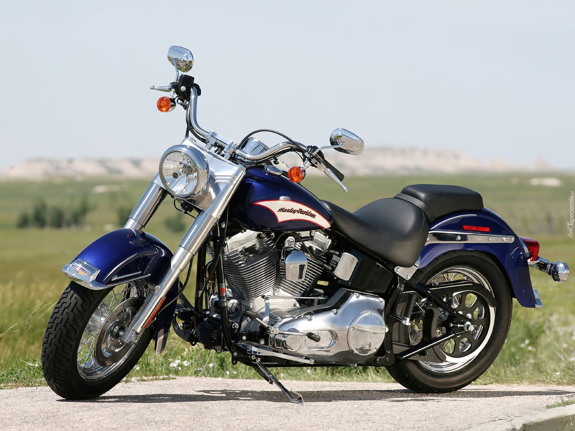 Harley Davidson Softail, Pas, Napędowy