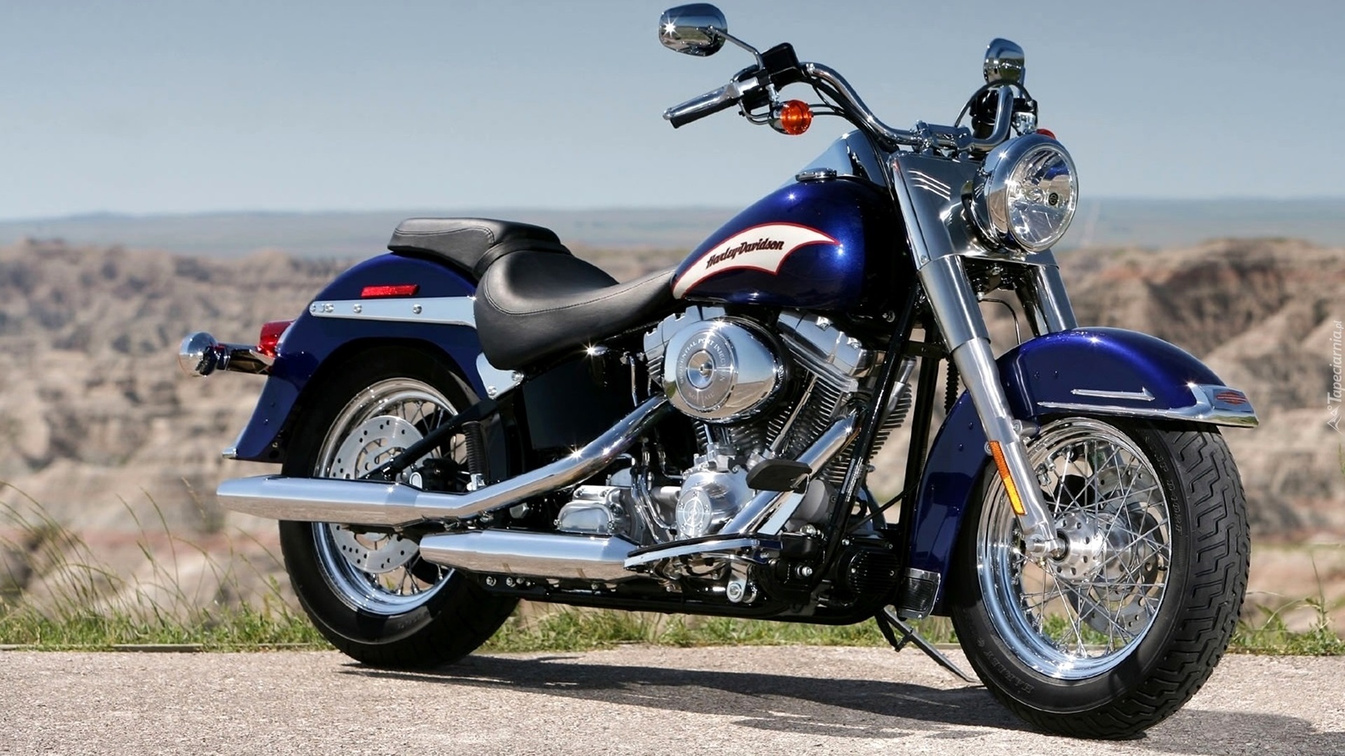 Harley Davidson Softail, Reflektor