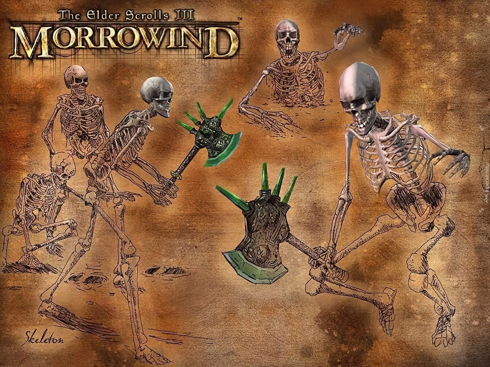 The Elder Scrolls III: Morrowind, Szkielety