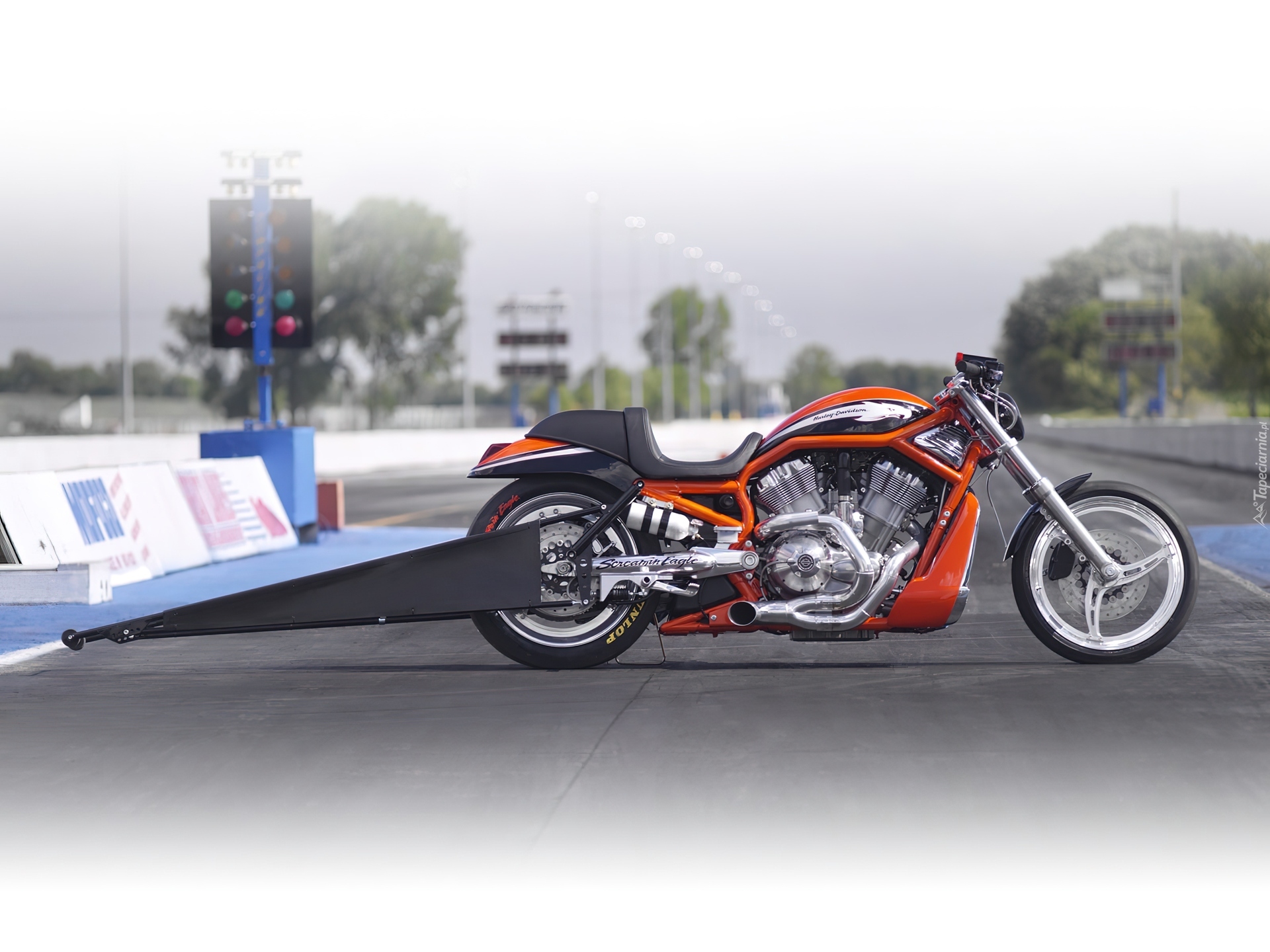 Harley Davidson Screamin Eagle V-Rod, Drag, Race