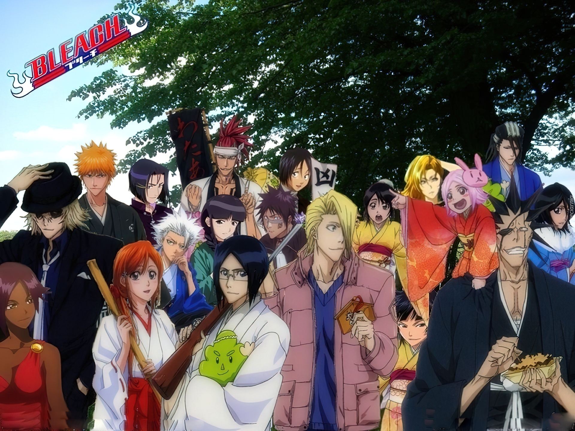 Bohaterowie, Bleach