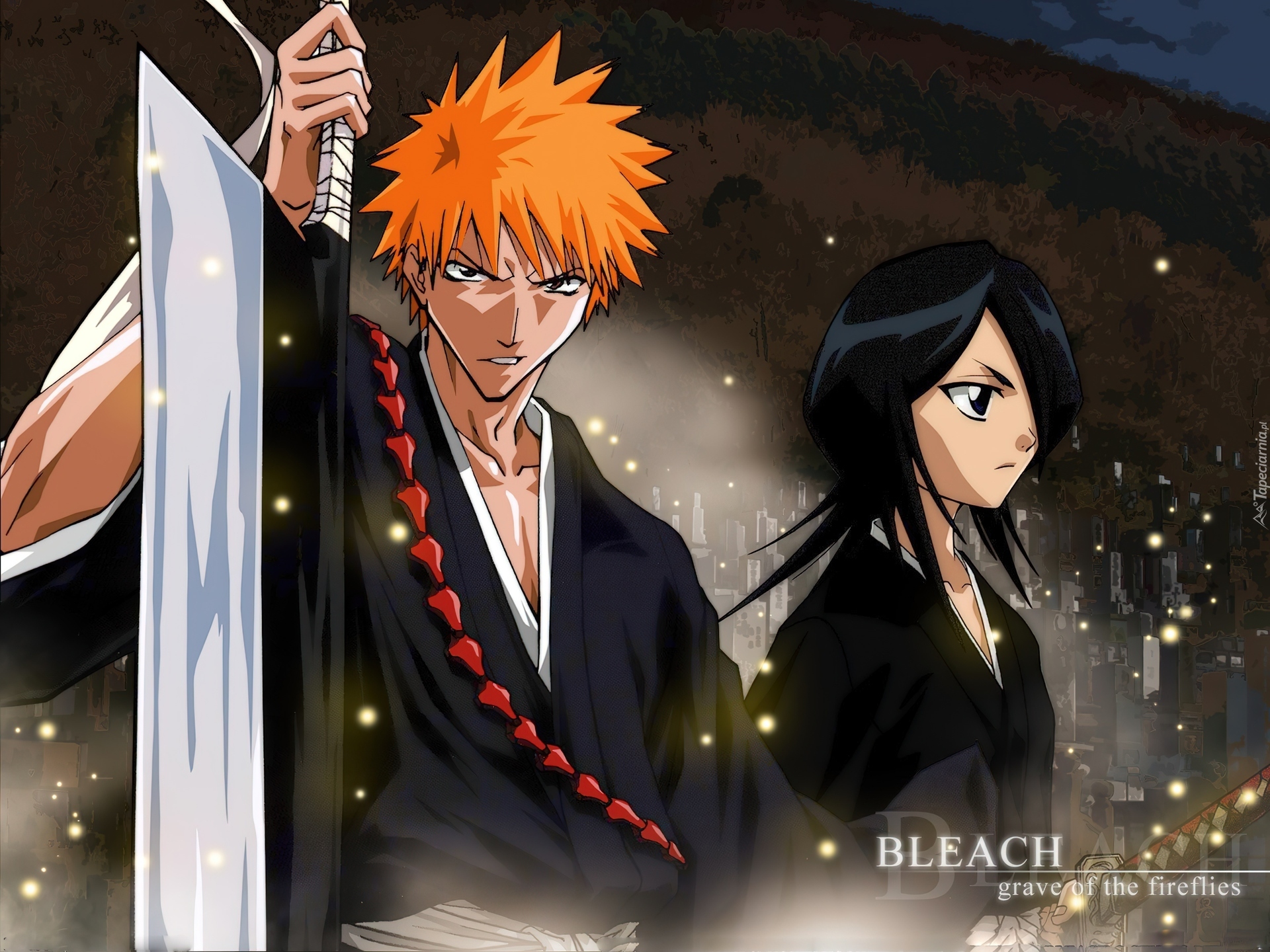 Kurosaki, Rukia, Postacie, Bleach