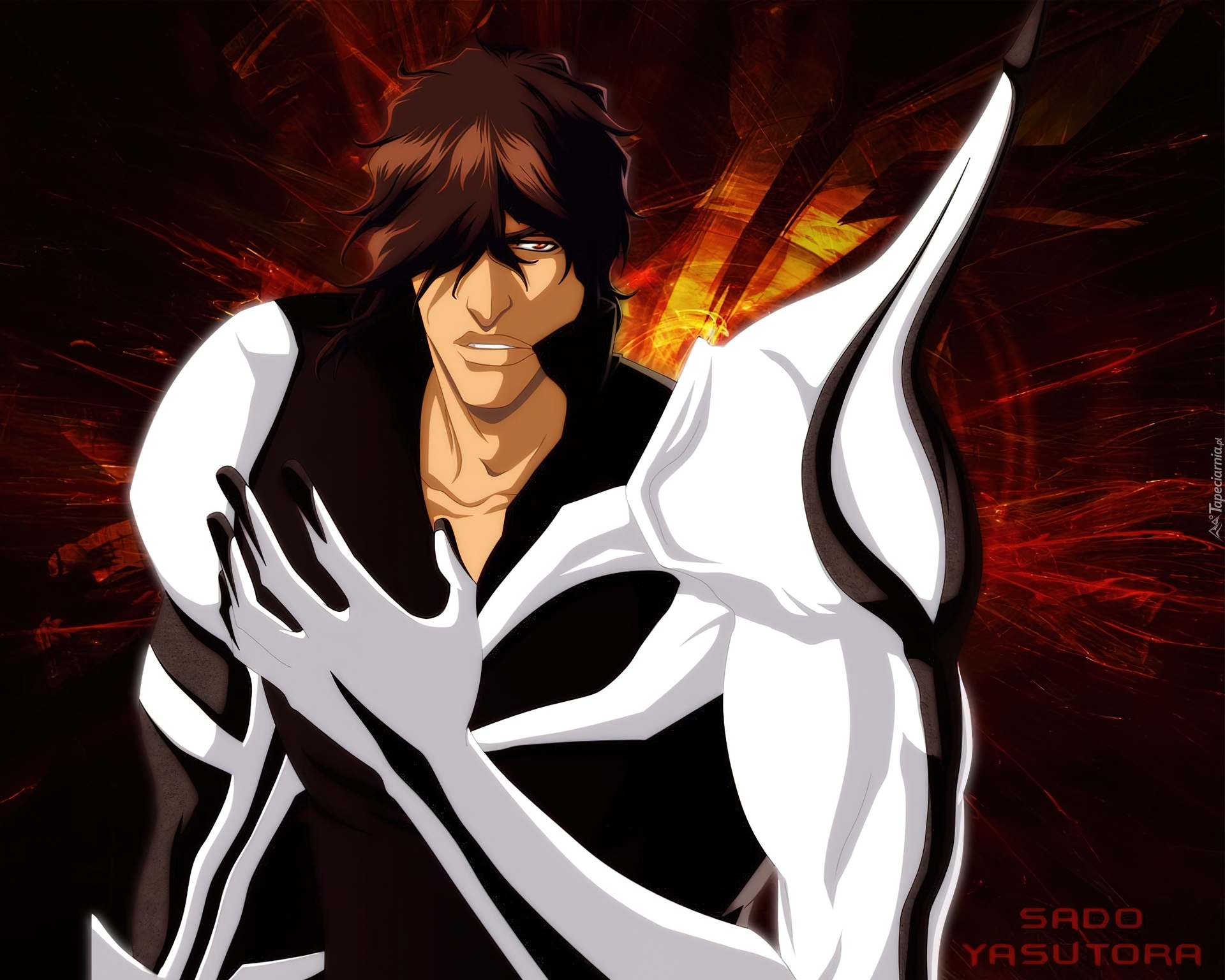 Sado Yasutora, Bleach