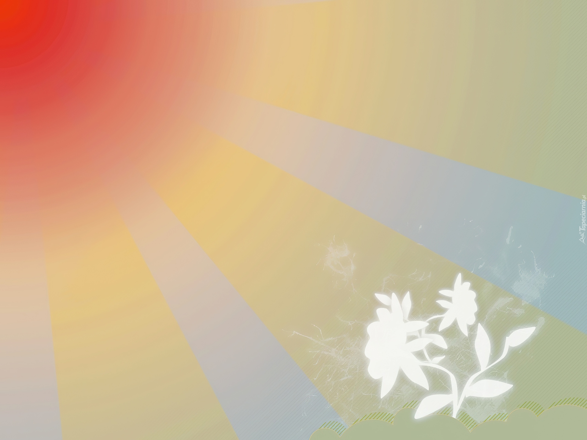 Kwiat, Słońce, Grafika