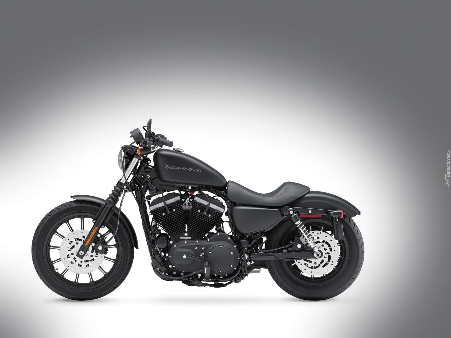 Harley Davidson Sportster Iron 883