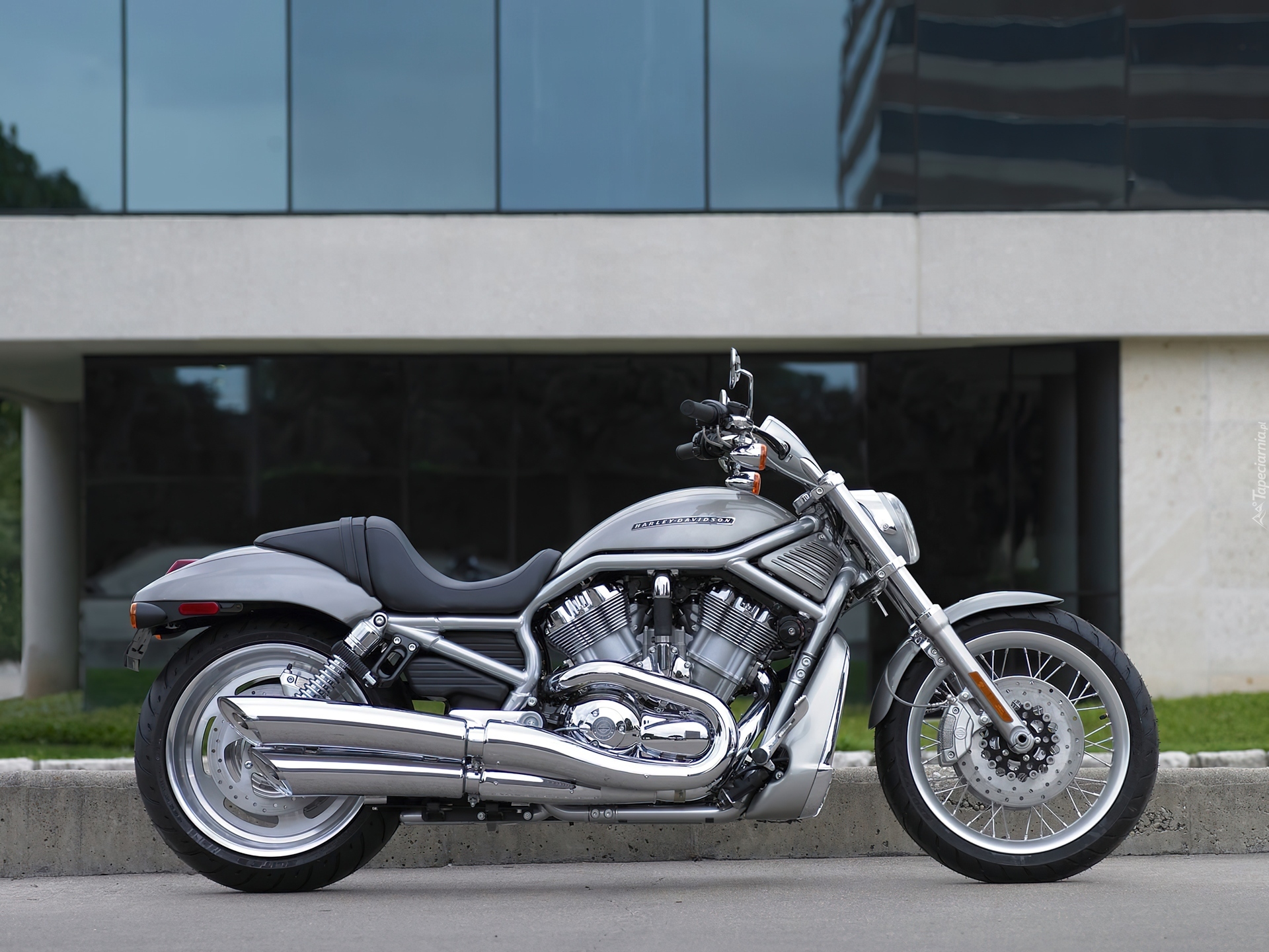 Srebrny, Cruiser, Harley Davidson V-Rod