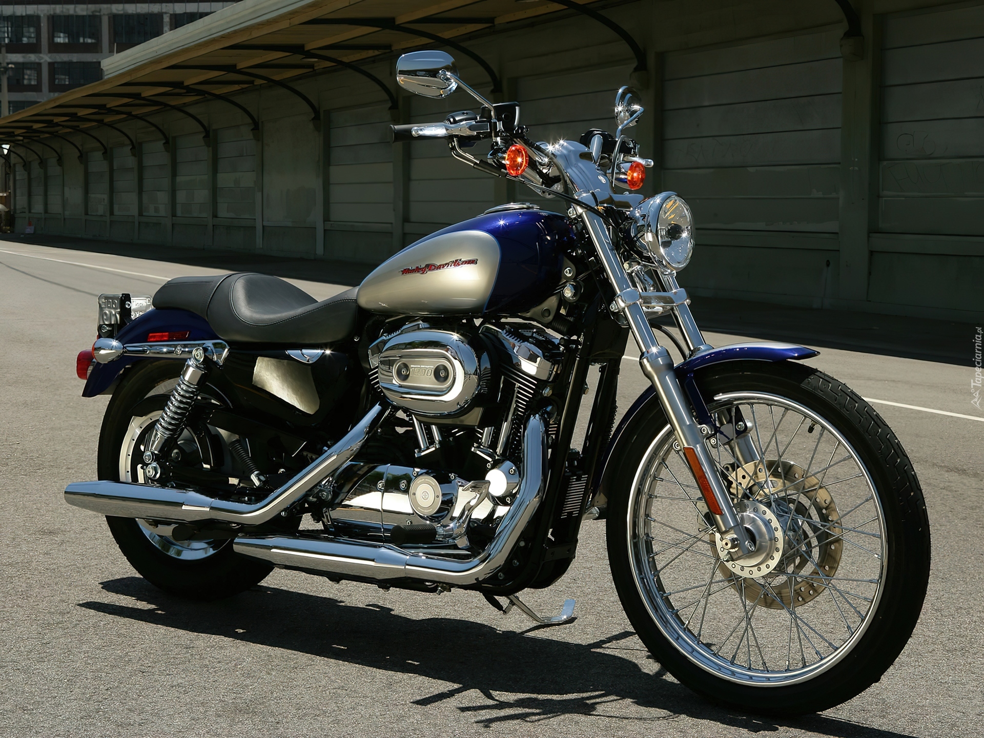 Harley Davidson Sportster XL1200C, Bak, Paliwa