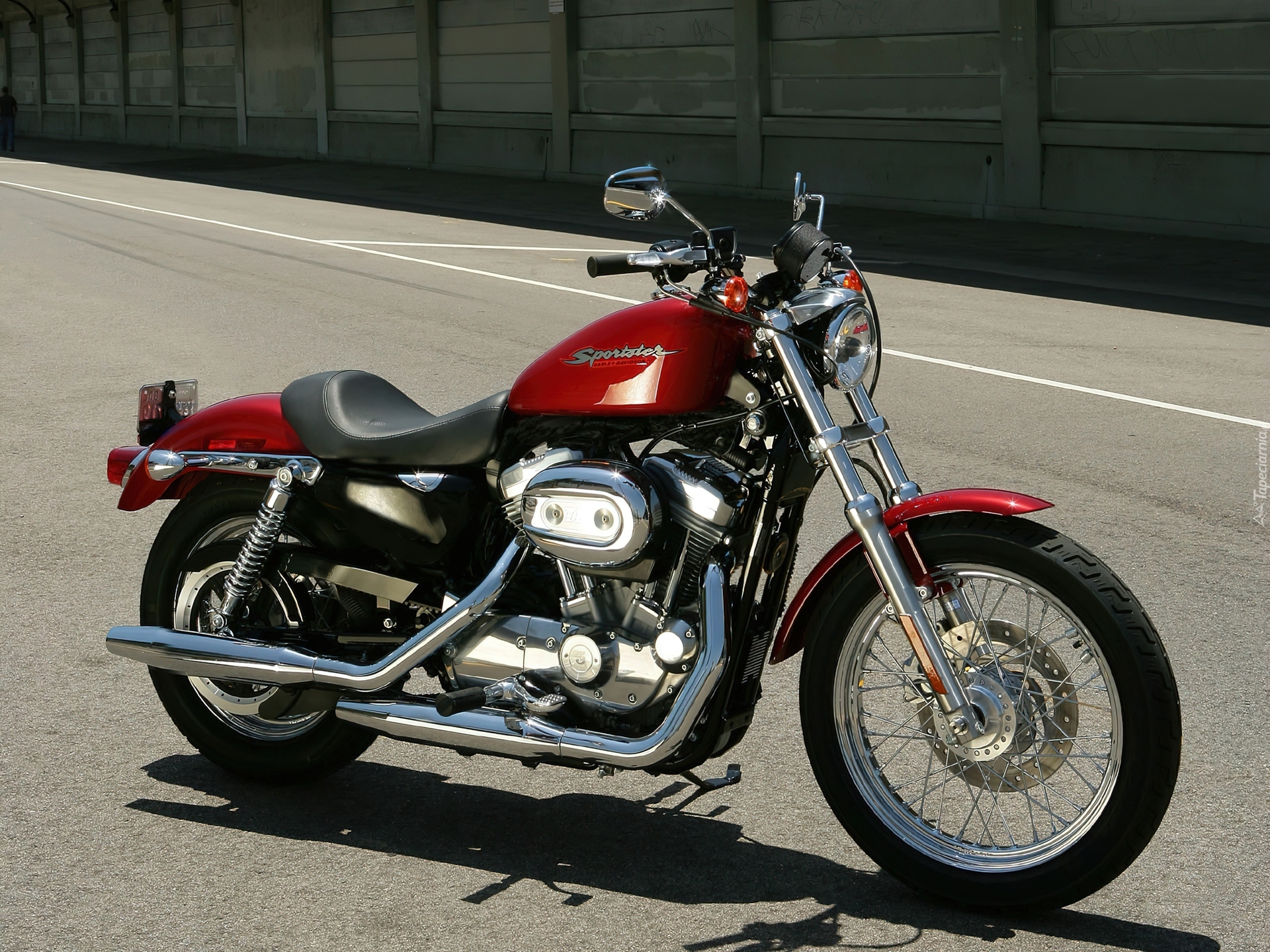 Harley Davidson XL883 Sportster