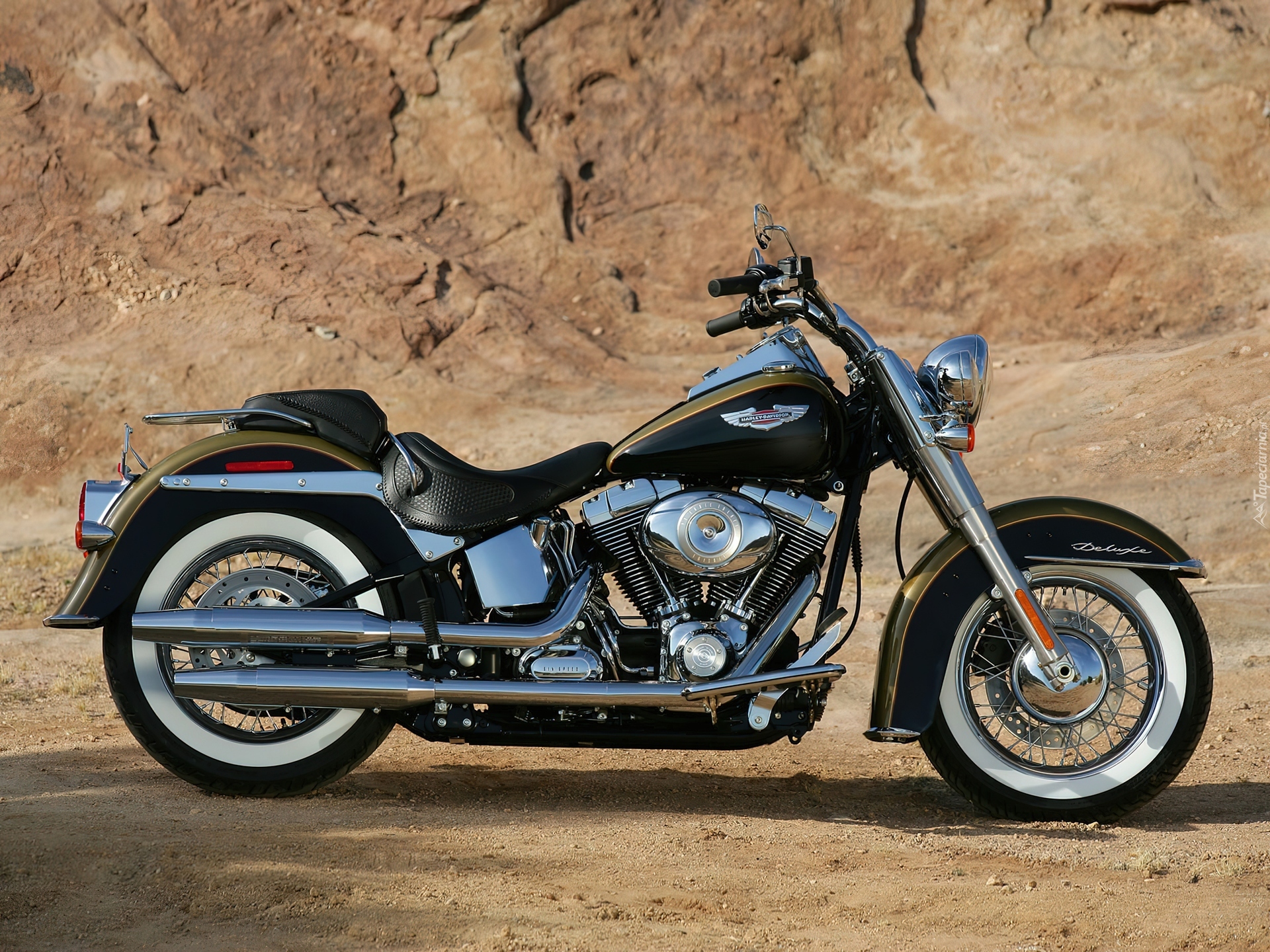 Harley Davidson Softail Fat Boy, Bak, Paliwa