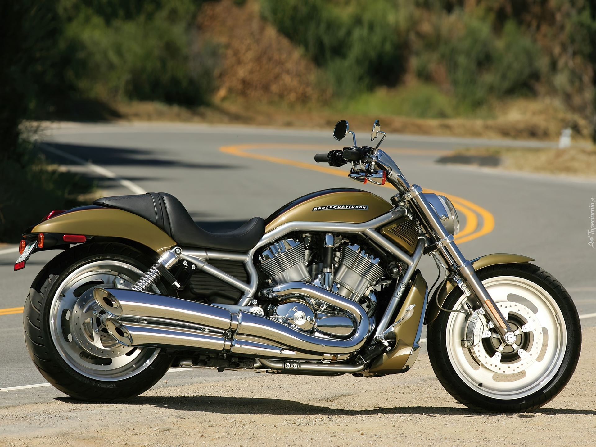 Harley Davidson V-Rod, Unikalne, Malowanie