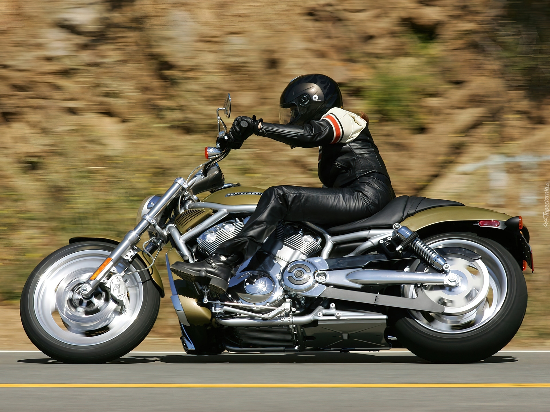 Harley Davidson V-Rod, Rama, Pas, Napędowy