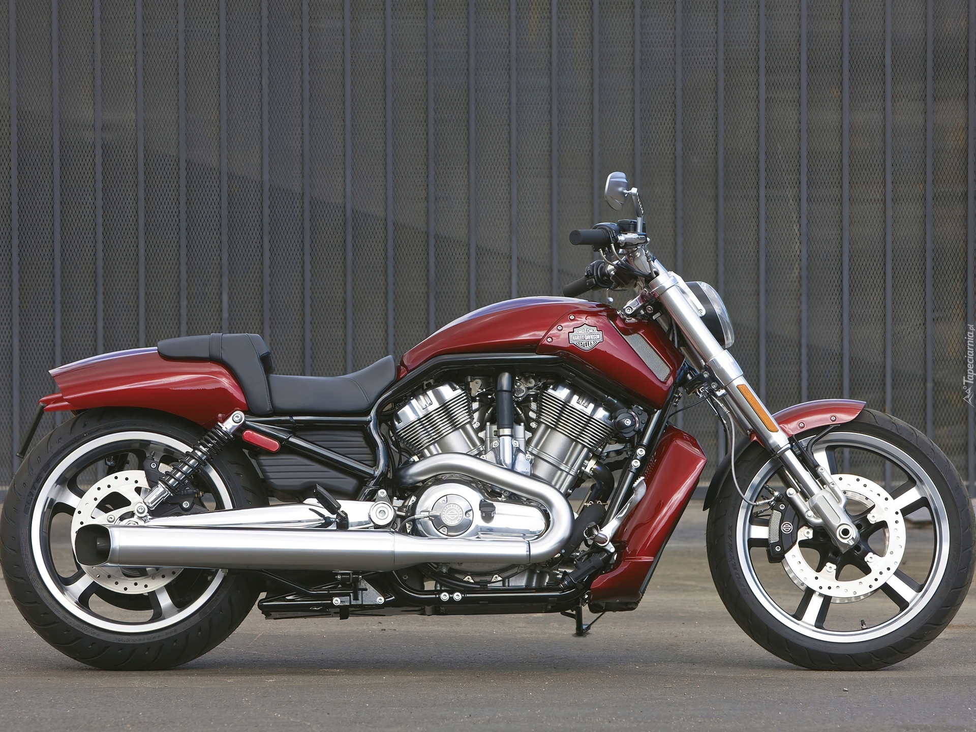 Prawy, Bok, Harley Davidson V-Rod Muscle