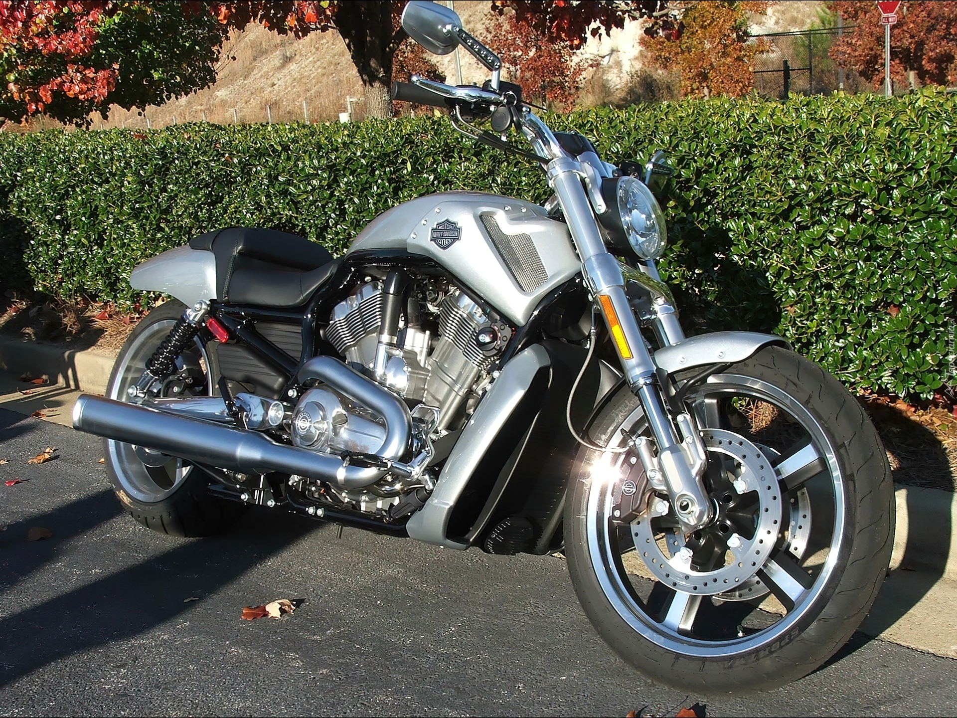 Harley Davidson V-Rod Muscle, Akcesoryjne, Dodatki