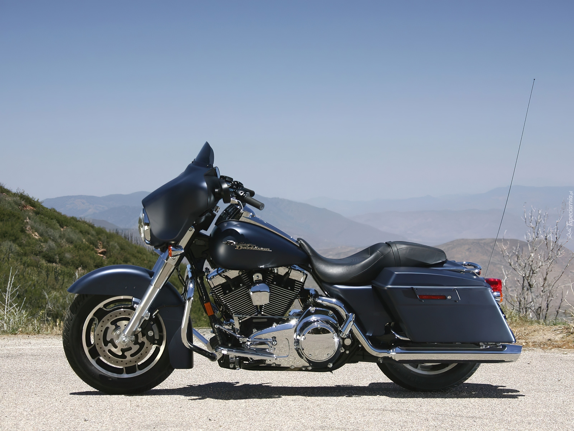 Harley-Davidson Touring Street Glide, Elementy, Chromowane