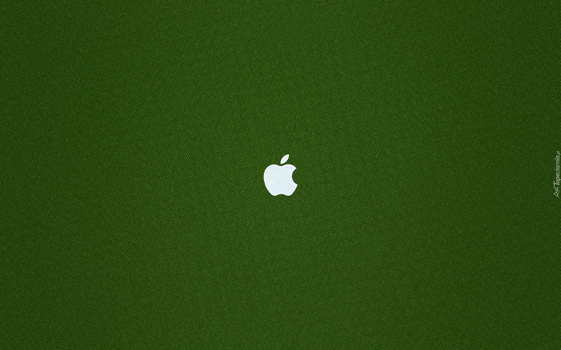 Logo, Apple, Zielona, Tekstura