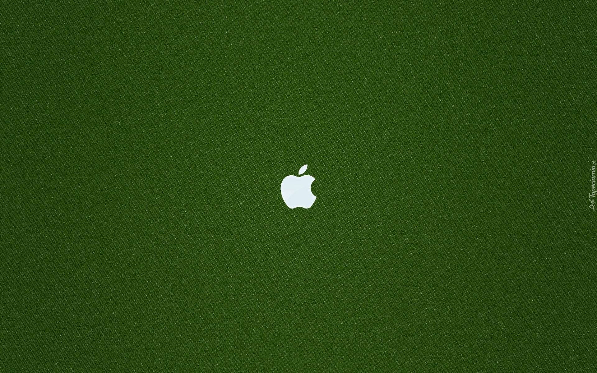 Logo, Apple, Zielona, Tekstura