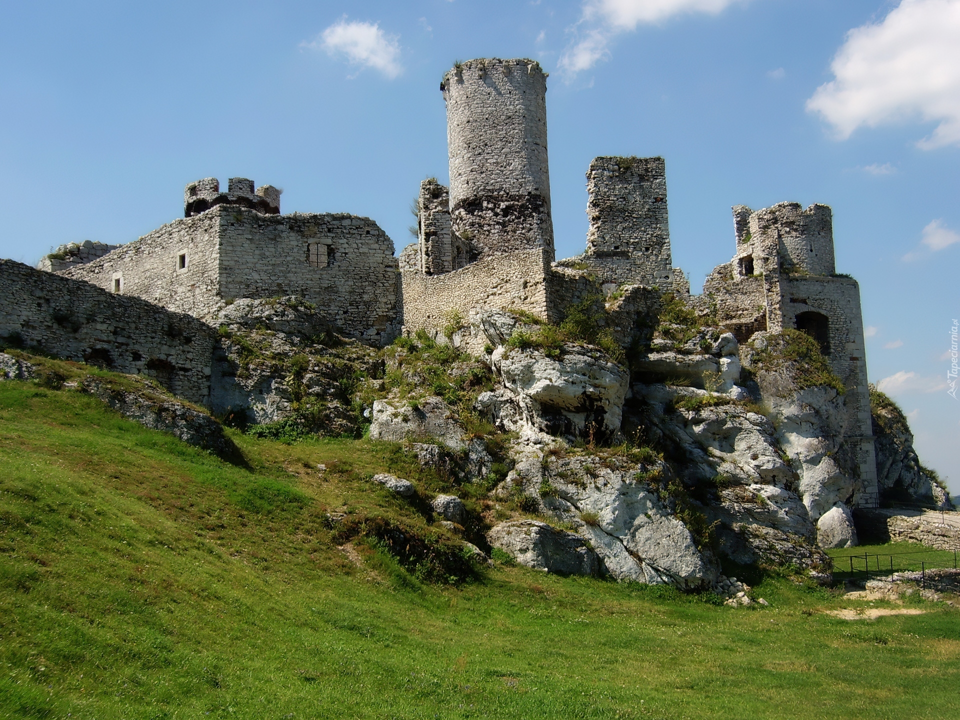 Ogrodzieniec, Zamek, Tamerl