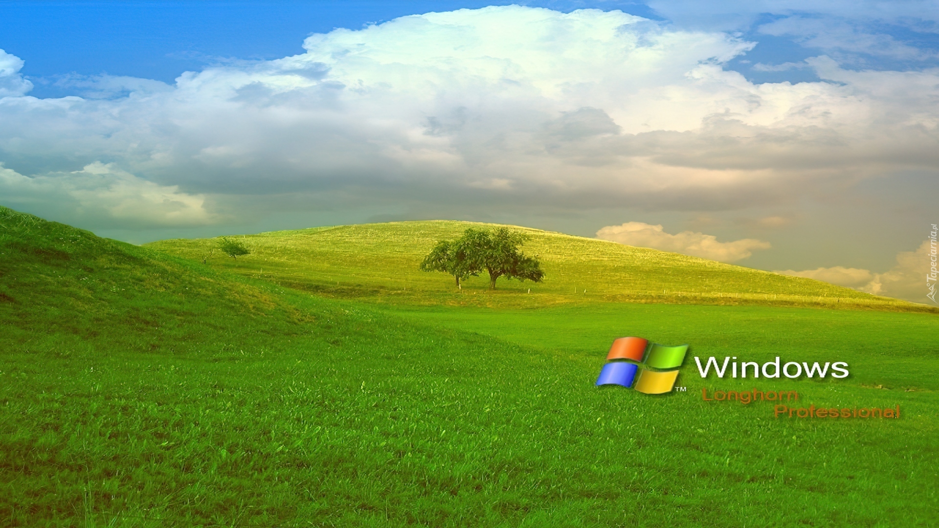 Windows Longhorn