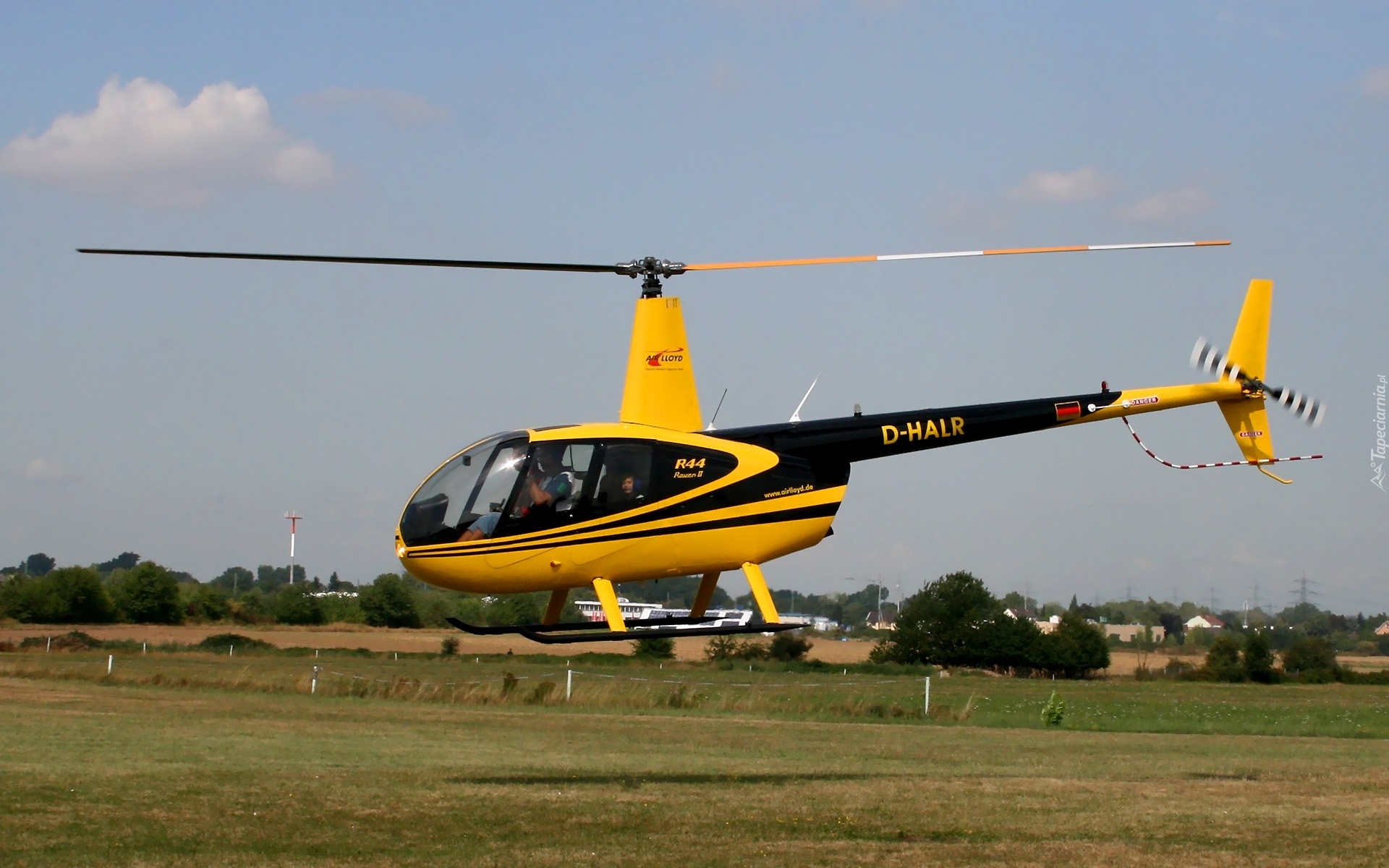 Robinson R44, Wirnik