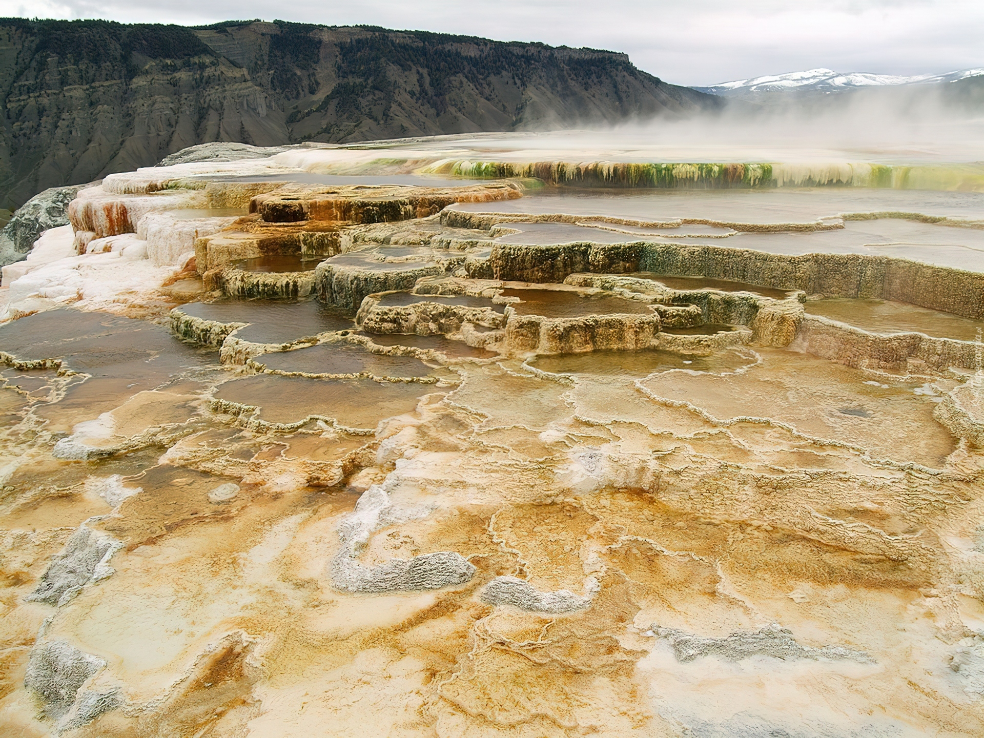 Stany Zjednoczone, Stan Wyoming, Park Narodowy Yellowstone, Gorące źródła Mammoth Hot Springs