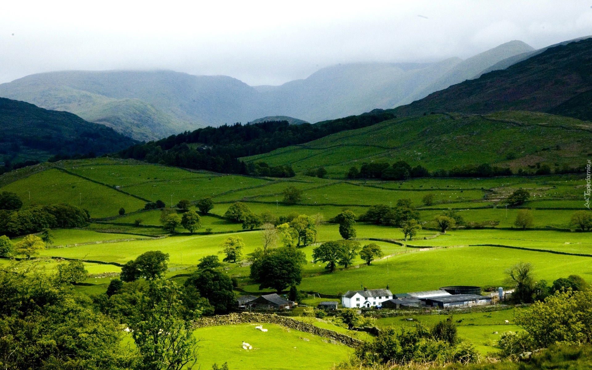 Wioska, Grasmere, Anglia, Wielka, Brytania