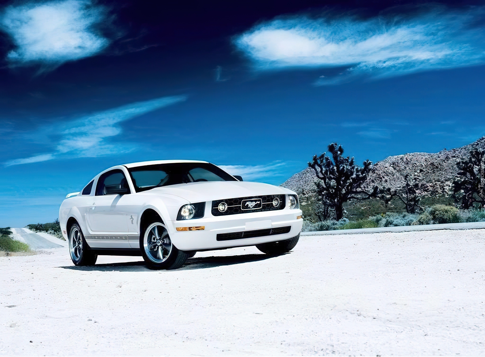 Машина 0.5. Форд Мустанг белый 2006. Mustang 2006 v6. Ford Mustang v6. Ford Mustang 1200.