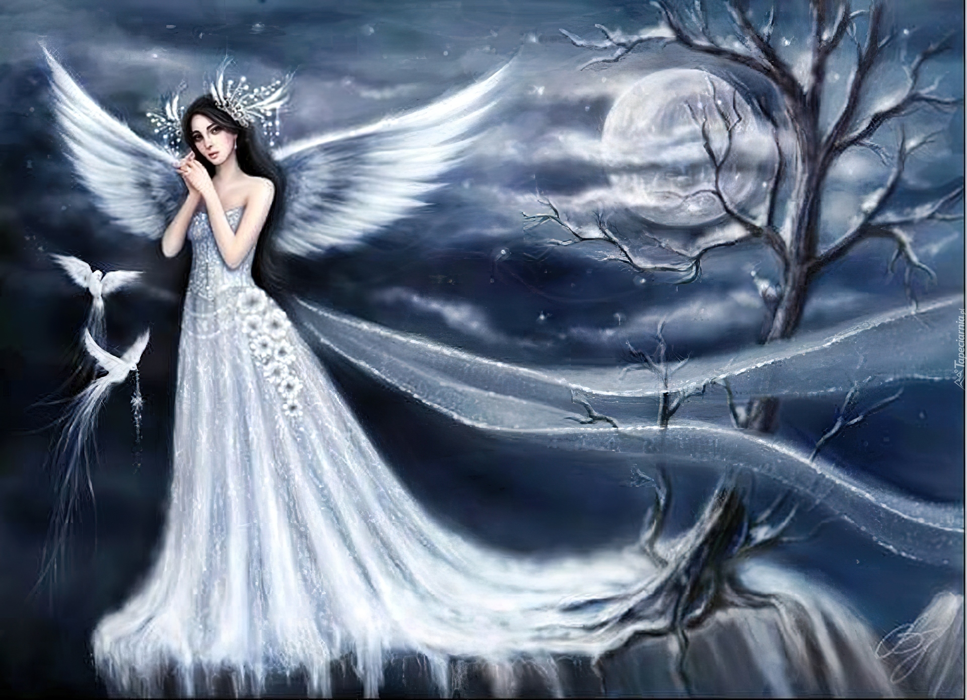Kobieta, Anioł, Noc, Fantasy