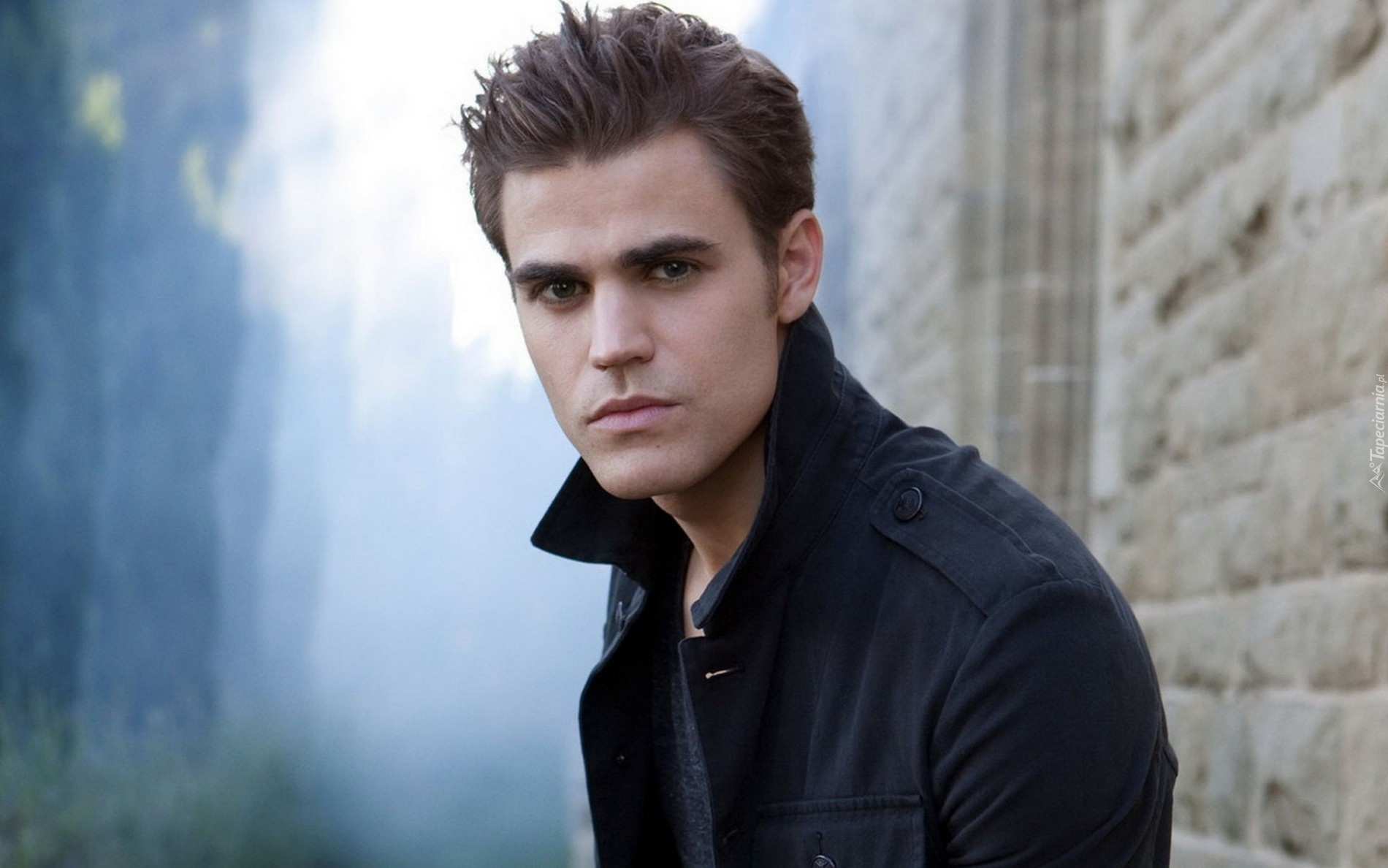 Aktor, Paul Wesley