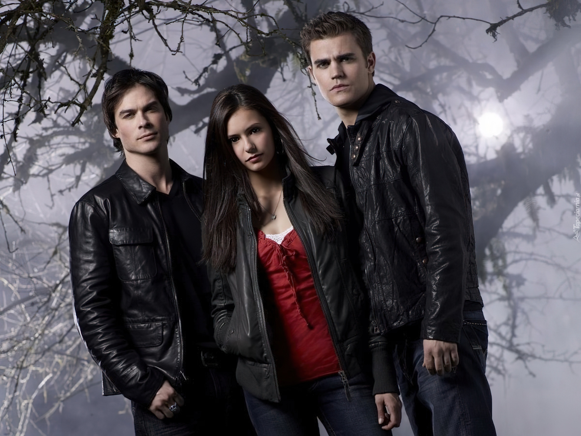 Pamiętniki wampirów, The Vampire Diaries, Ian Somerhalder, Nina Dobrev, Paul Wesley