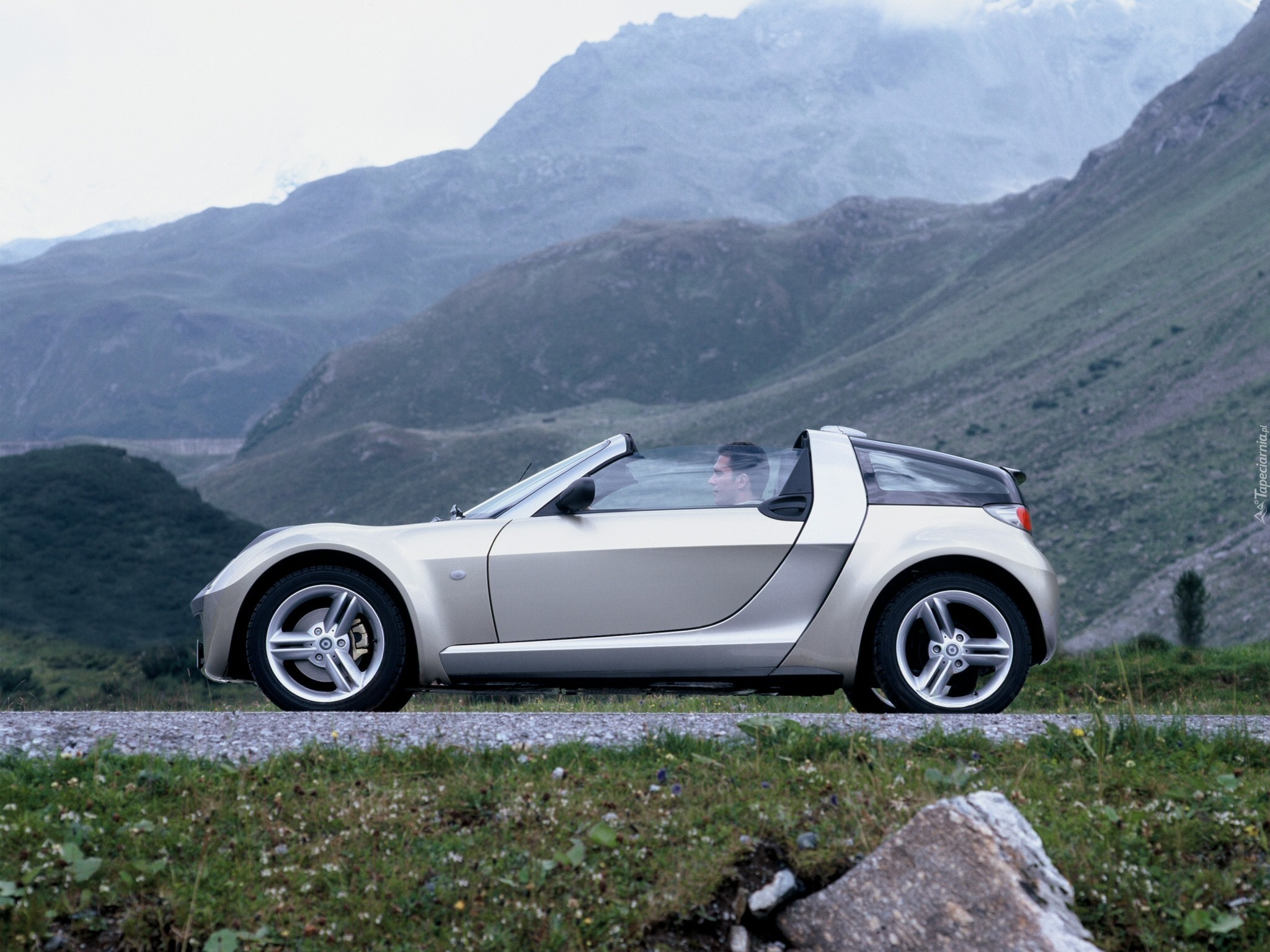 Srebrny, Smart Roadster