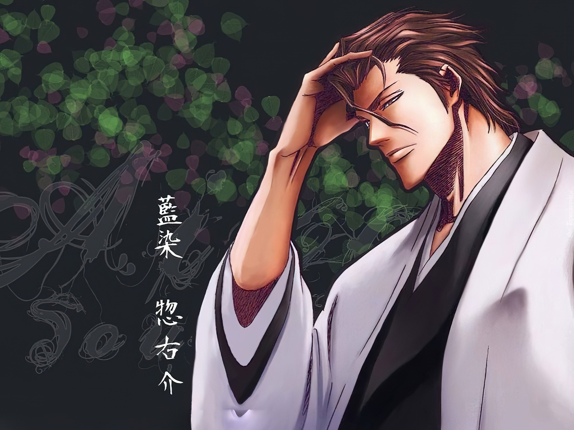 Aizen, Sosuke, Ex, Shinigami